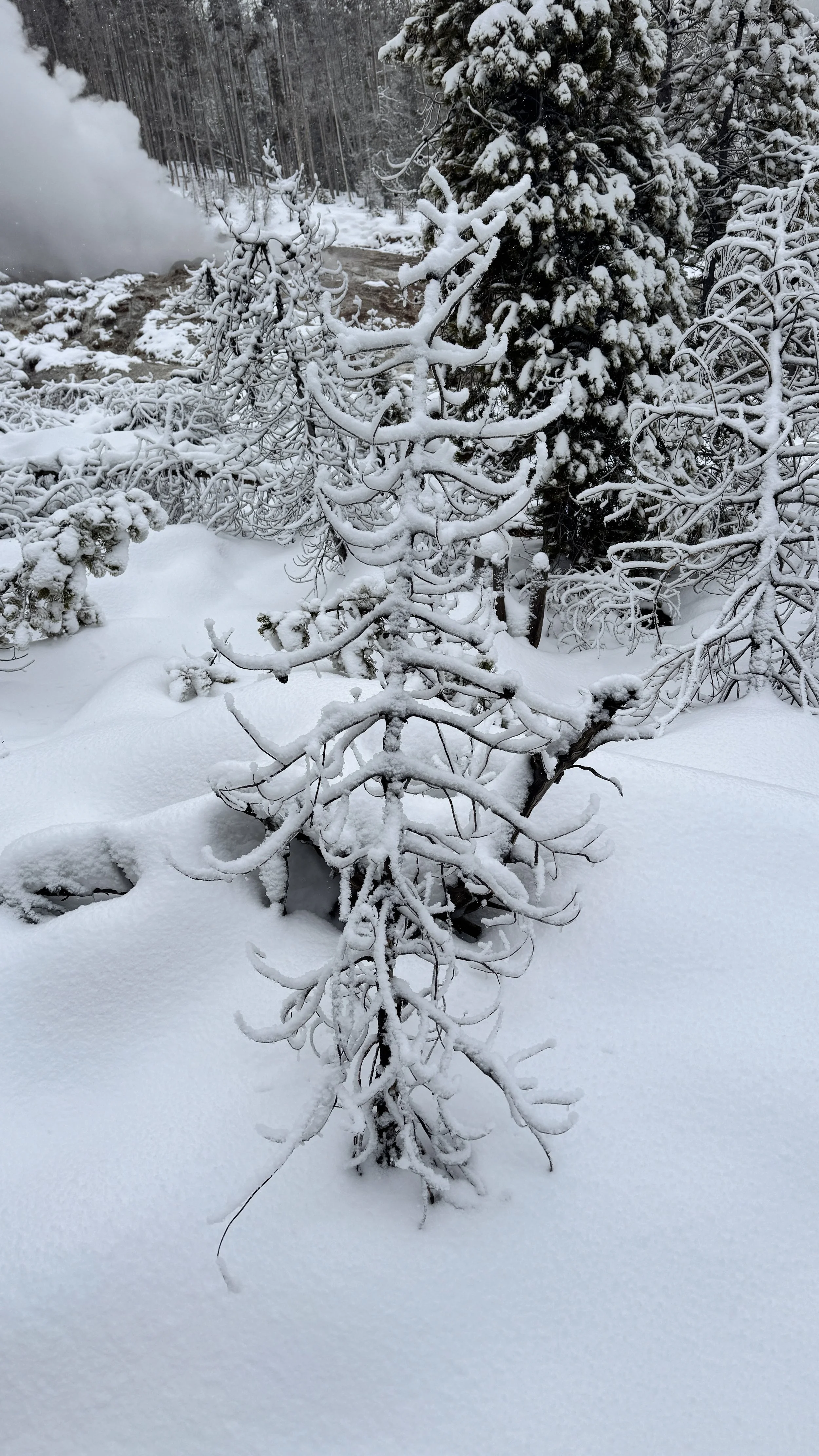 FullSizeRender 14.JPG