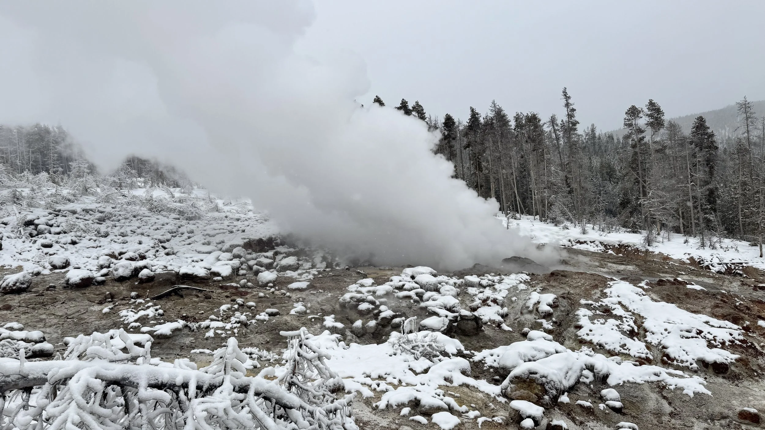 FullSizeRender 12.JPG