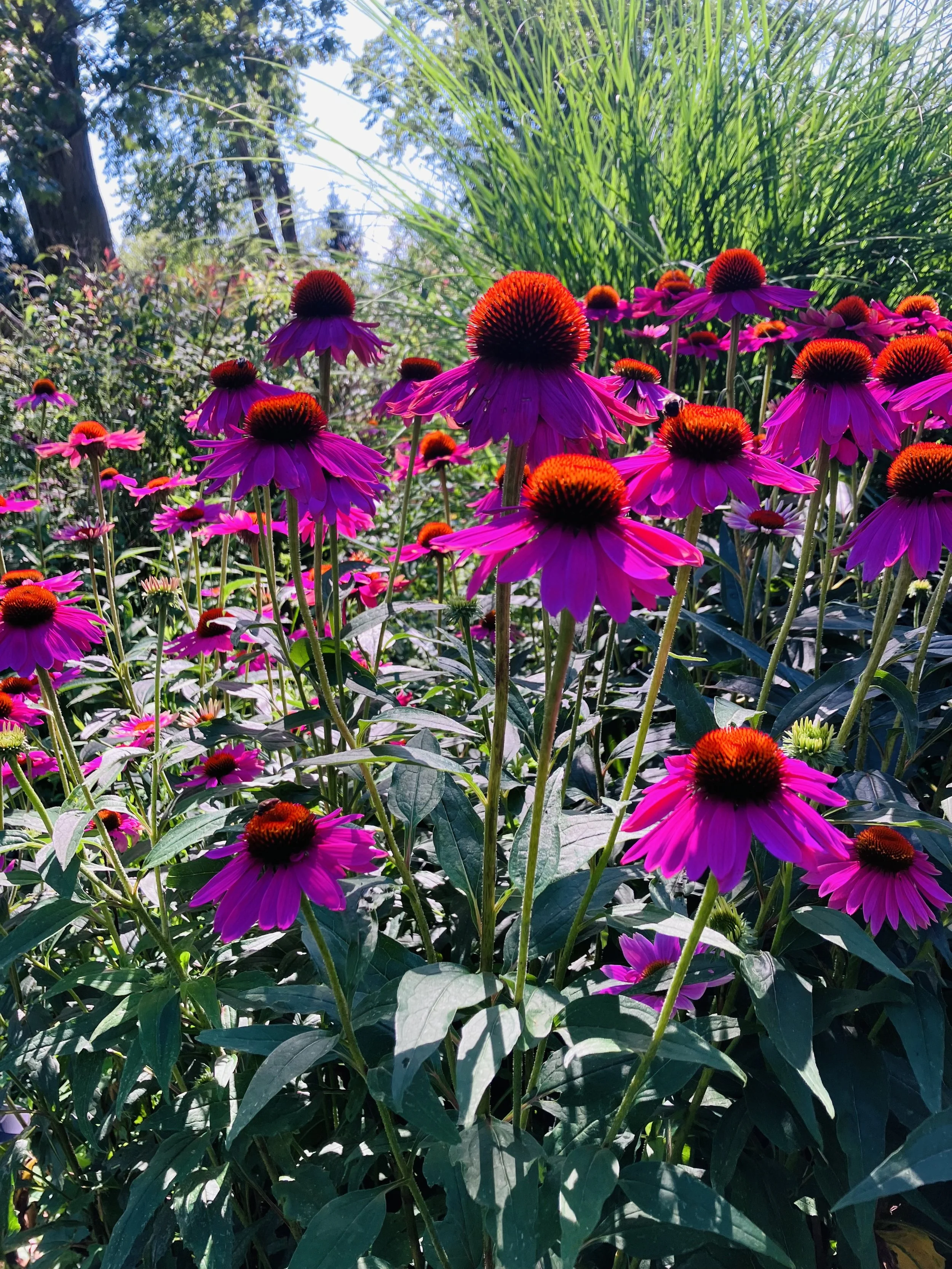 Healing Through Soil: Gardening and Grief
