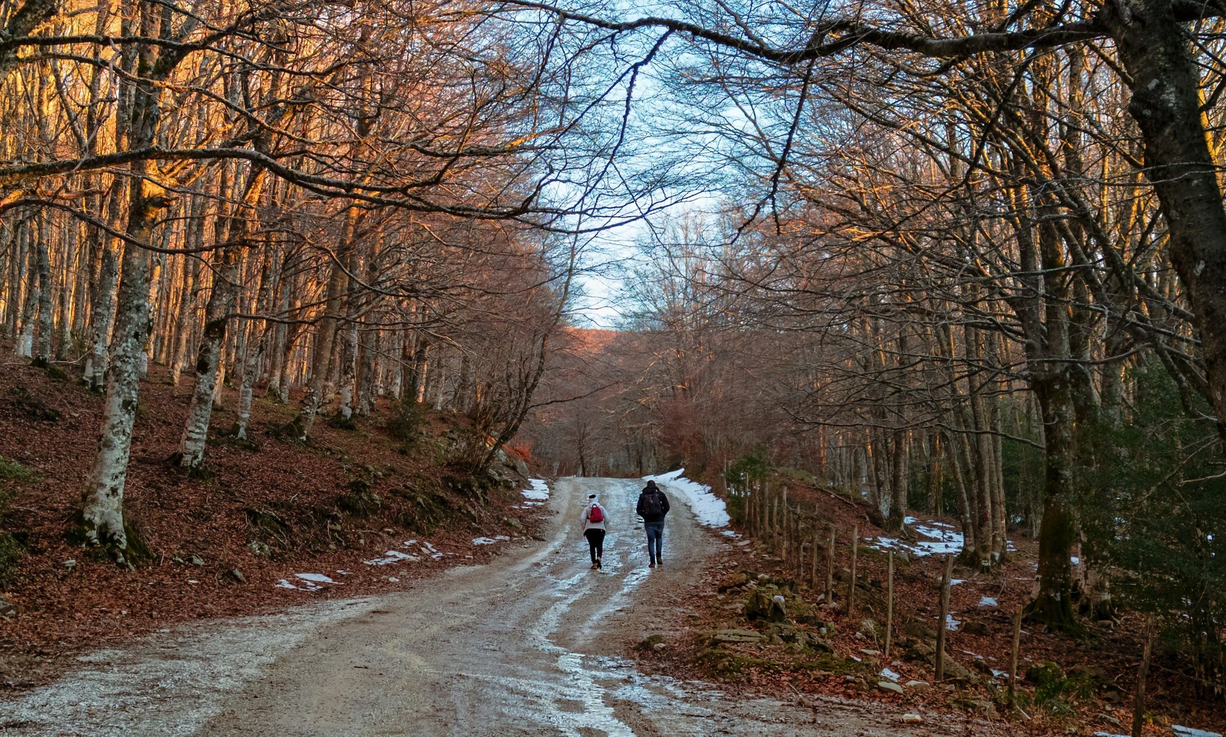 Take Therapy Outside: Healing While You Walk or Run