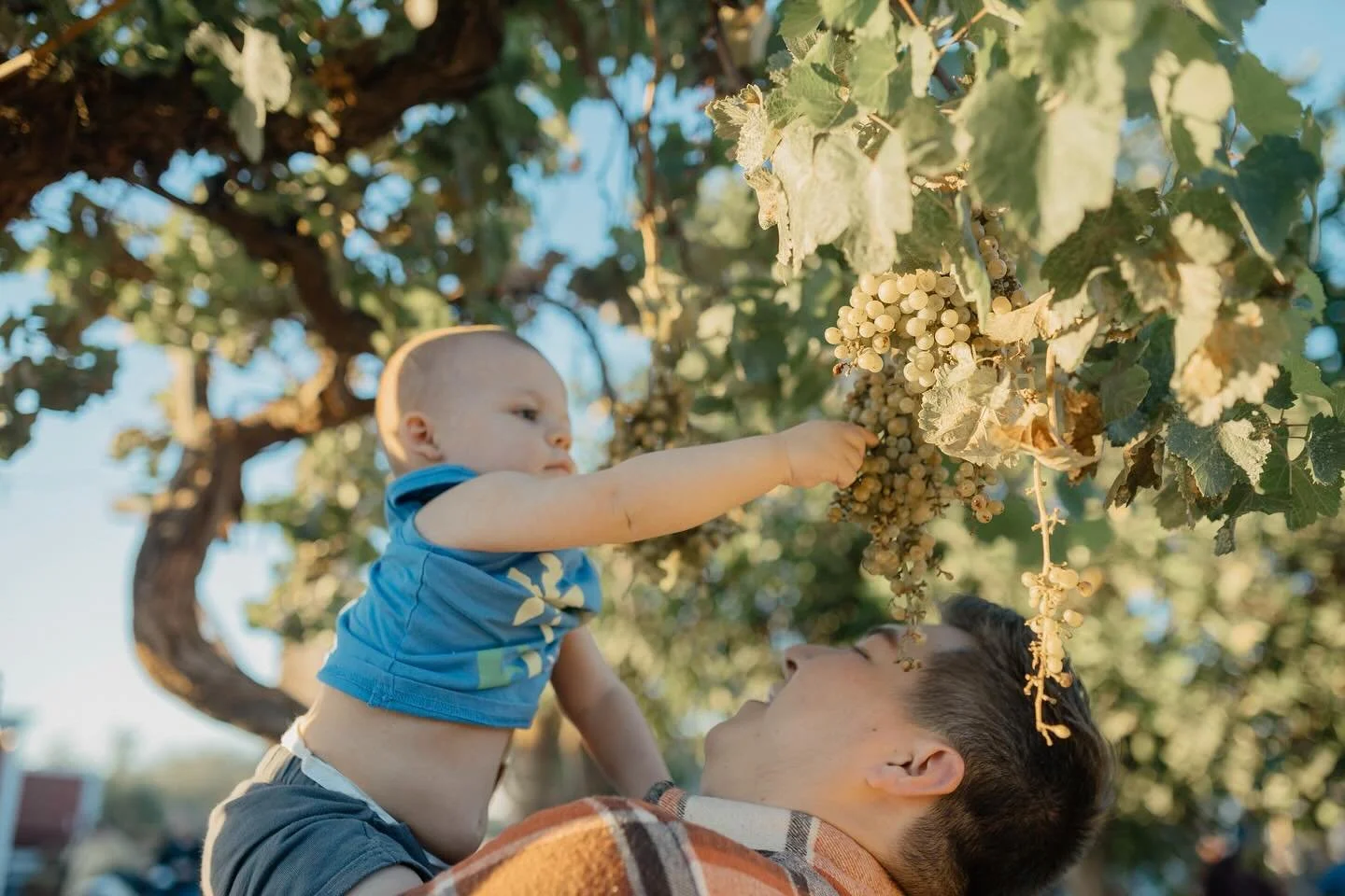 christian just needed a lil snack mid sesh, ya know?
.
.
.
#azweddingphotographer #weddingphotographer #pumpkinpatch #arizona #storyteller #storytellingphotography #documentaryphotography #lifestylephotography #lifestylephotographer #fallvibes