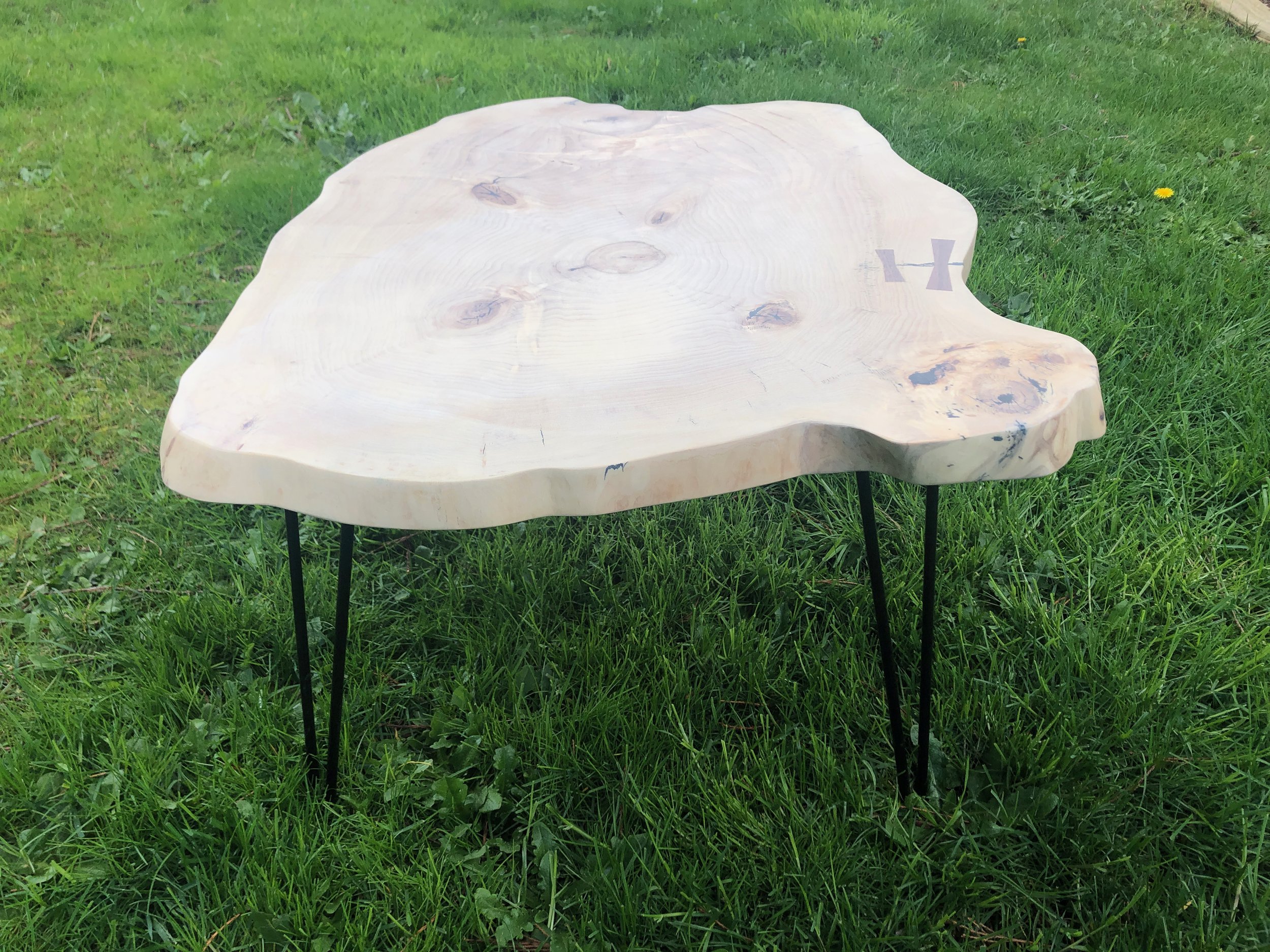 Natural tree round (cookie) coffee table