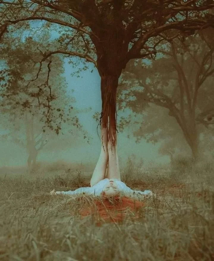 HEARTH - Online gathering —New Moon in Capricorn