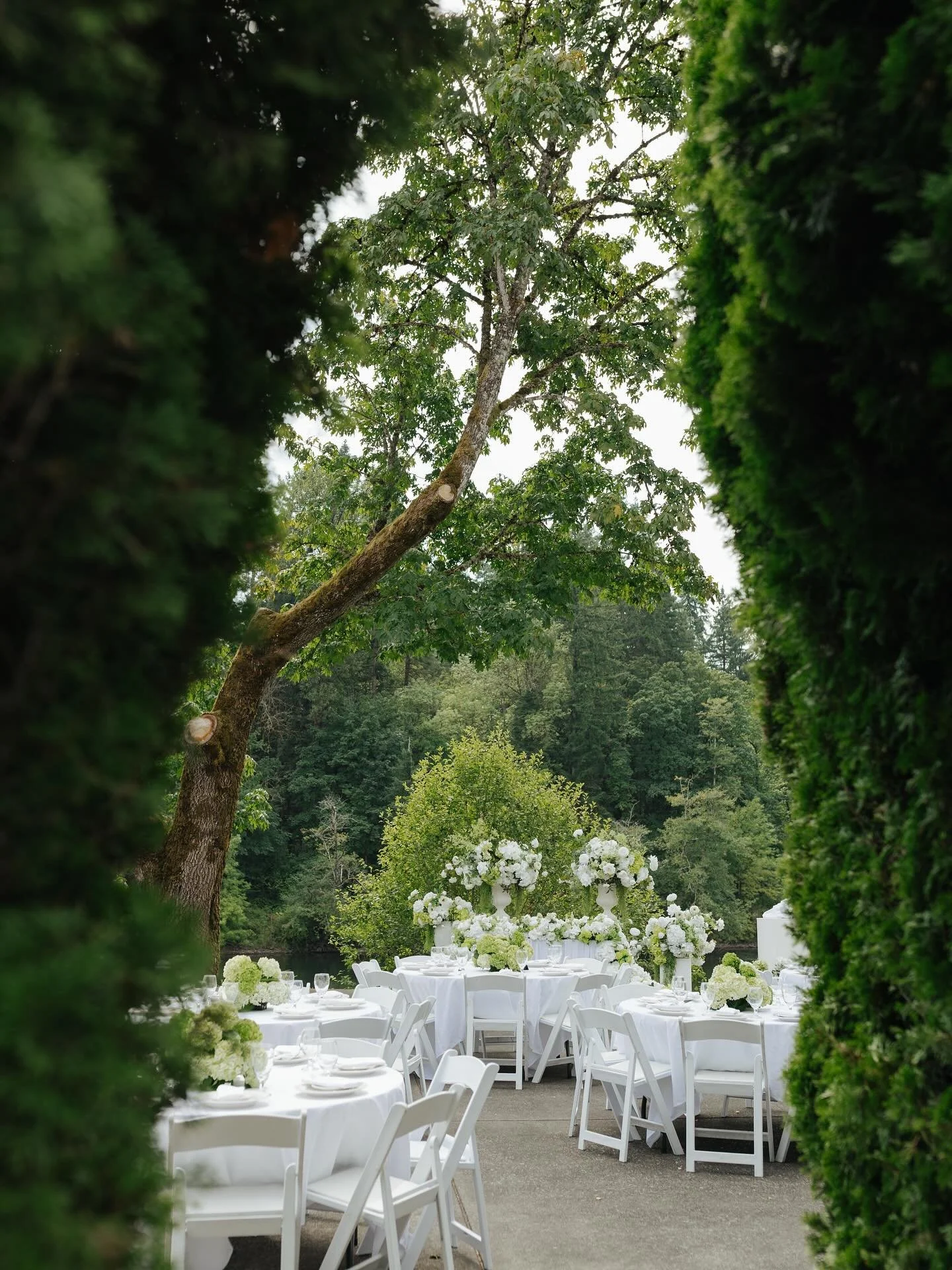 Washington summer weddings 🦢