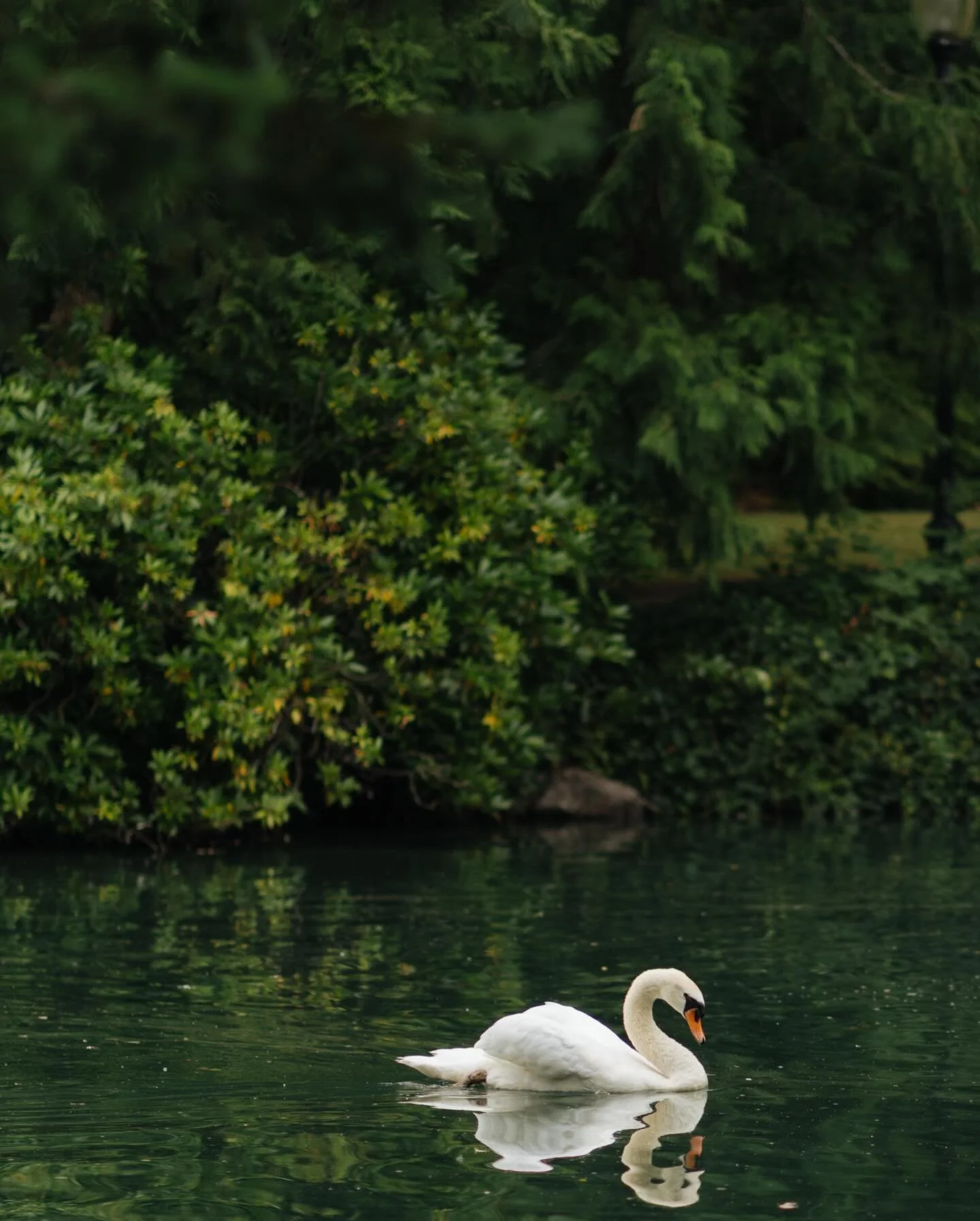 I can&rsquo;t wait for this 2026 wedding season 🥂

Venue @chateaudelis 
Planning and design: @thecoordinator.alina
Florals: @floraltouchpdx
Reception/ceremony backdrop: @victoria.luxuryevents
Photo: @lizimages
Second photo: @anniezavphoto
Video: @ko