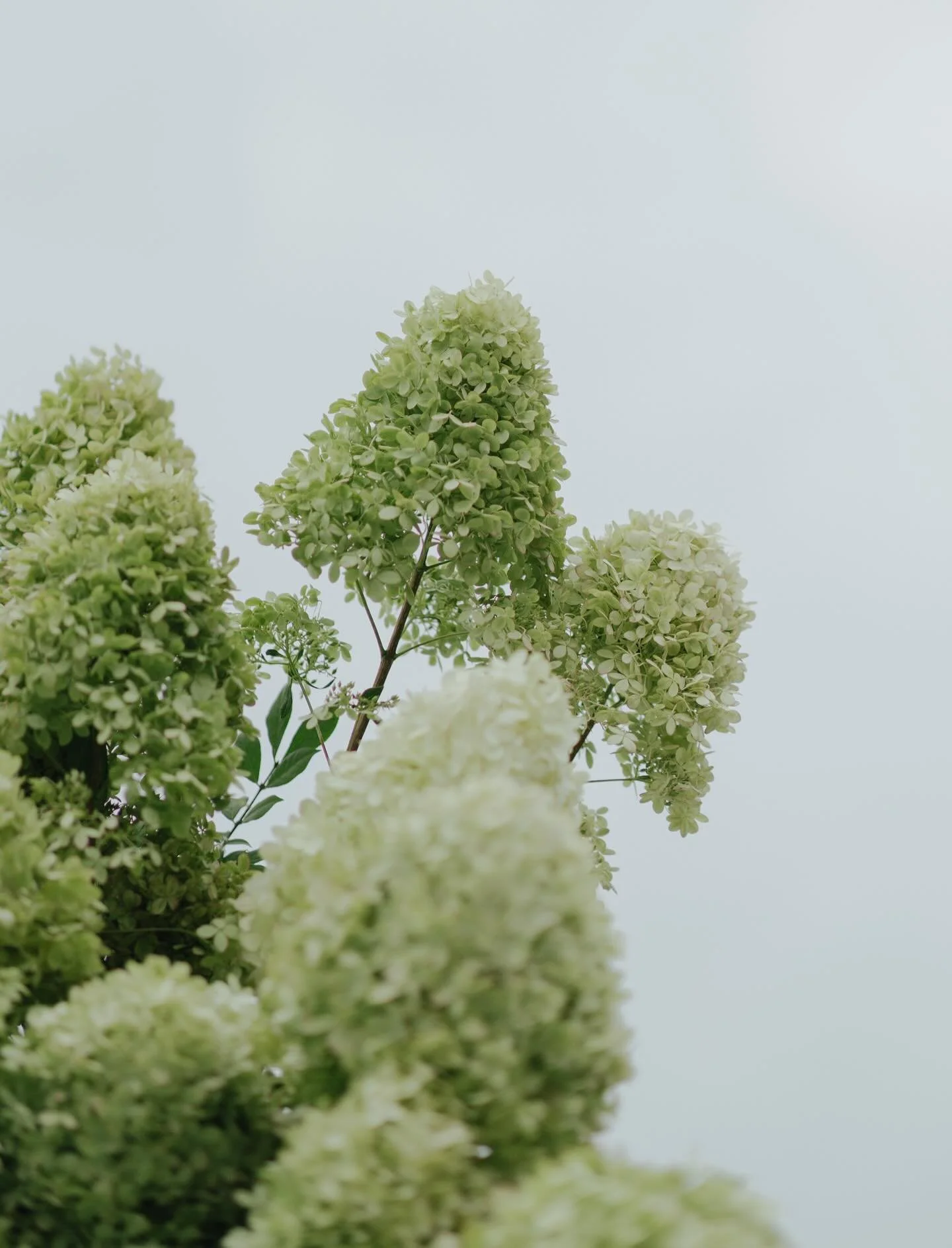 Something about the details on 35mm film just feels right