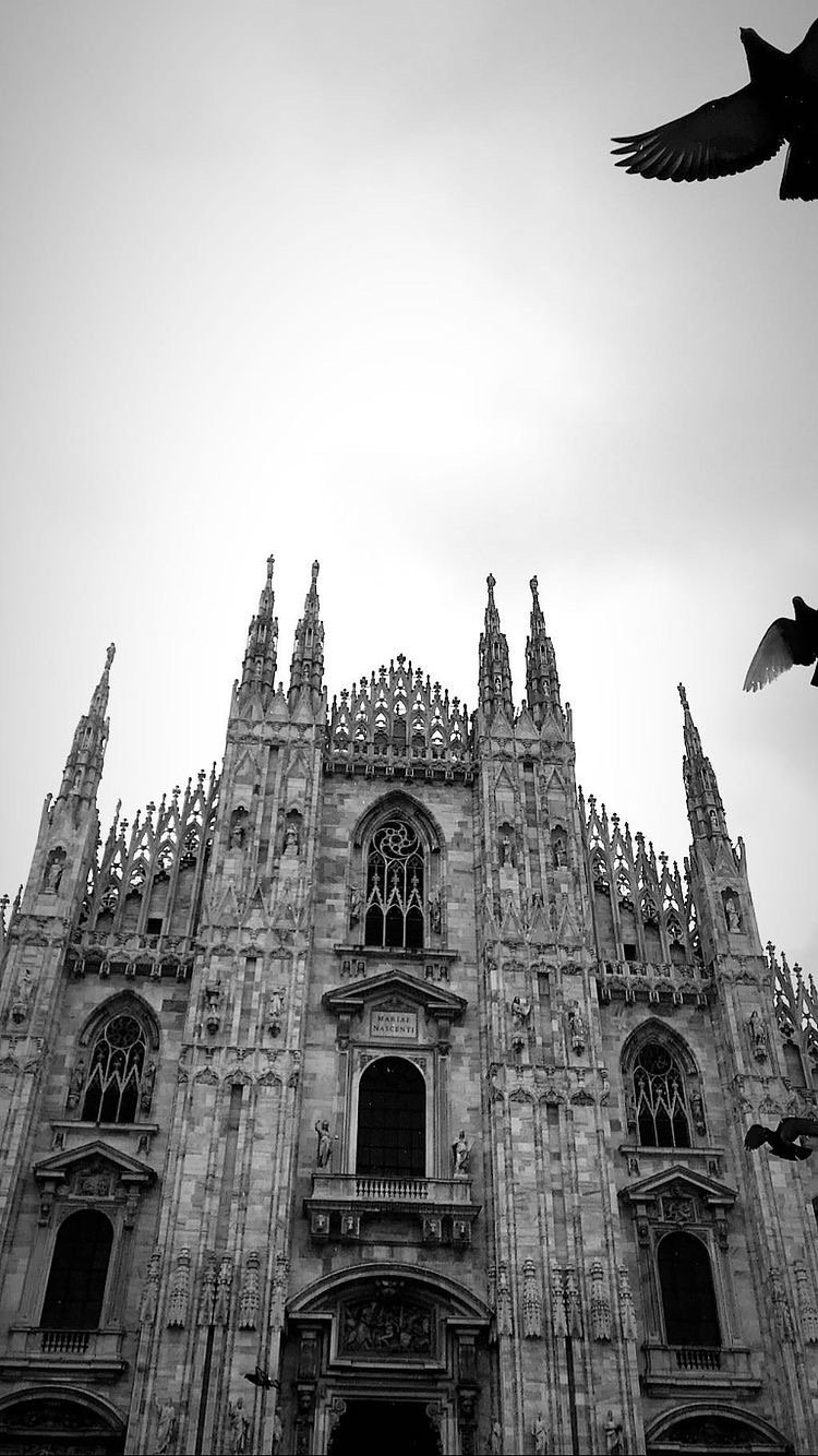 939FD544-8B89-458D-A429-90C2B1F05A02.jpeg