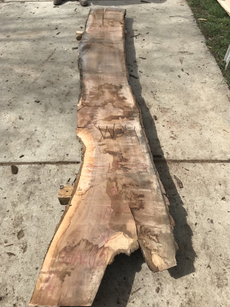  Live Edge Walnut Slab (1 Thick x 10-17 Wide x 24