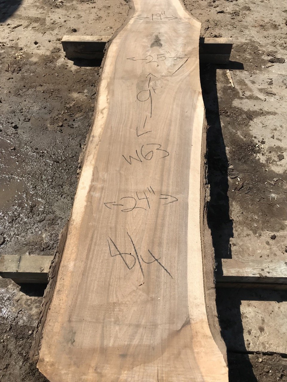  Live Edge Walnut Slab (1 Thick x 10-17 Wide x 24