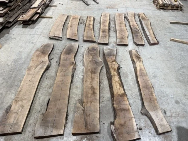 IMG_2531 Medium.jpeg