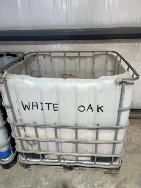 IMG_9937 Medium.jpeg