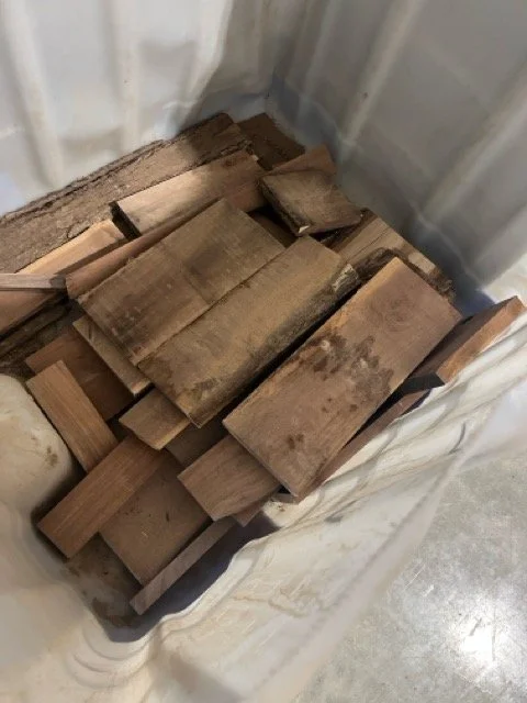 IMG_9940 Medium.jpeg