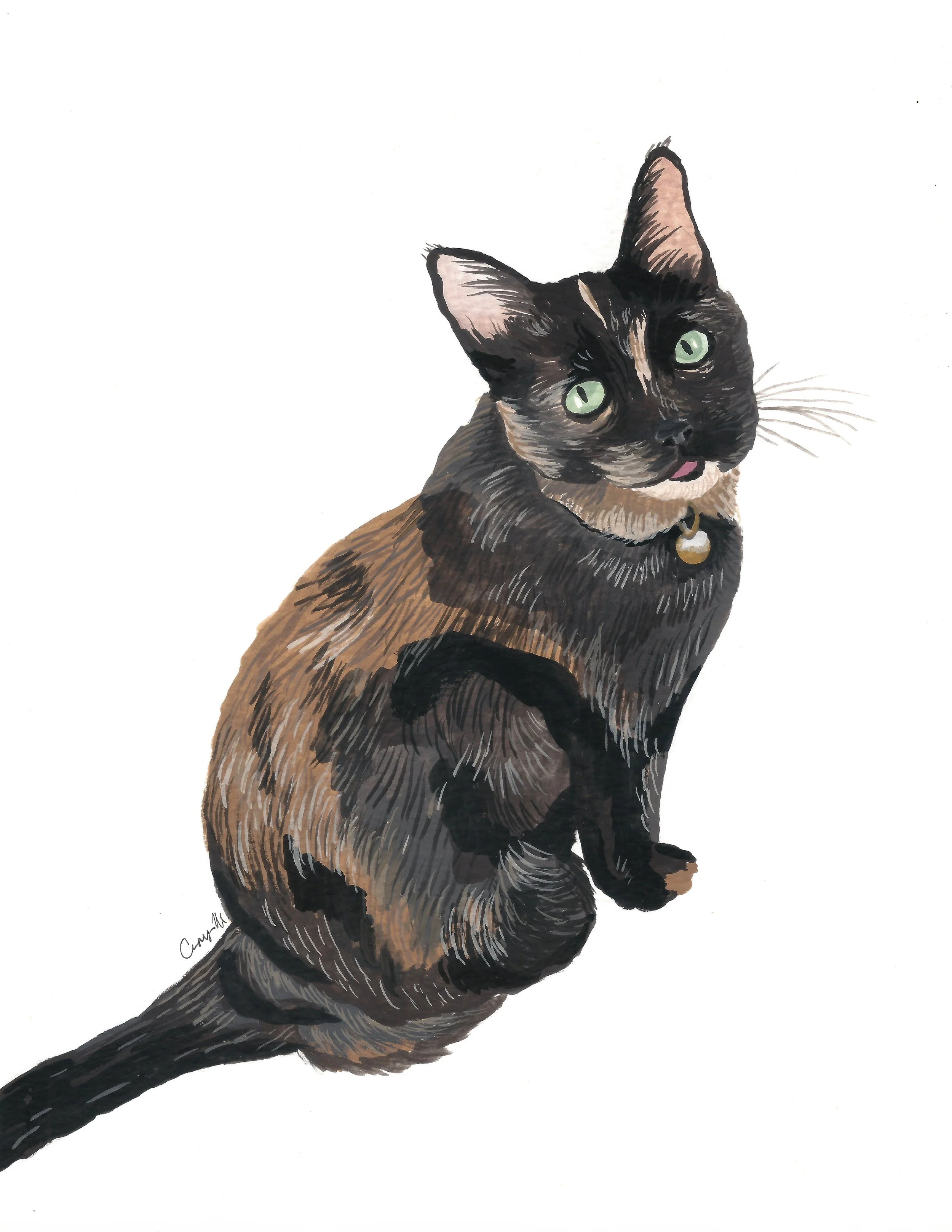 KT-Cat.JPG