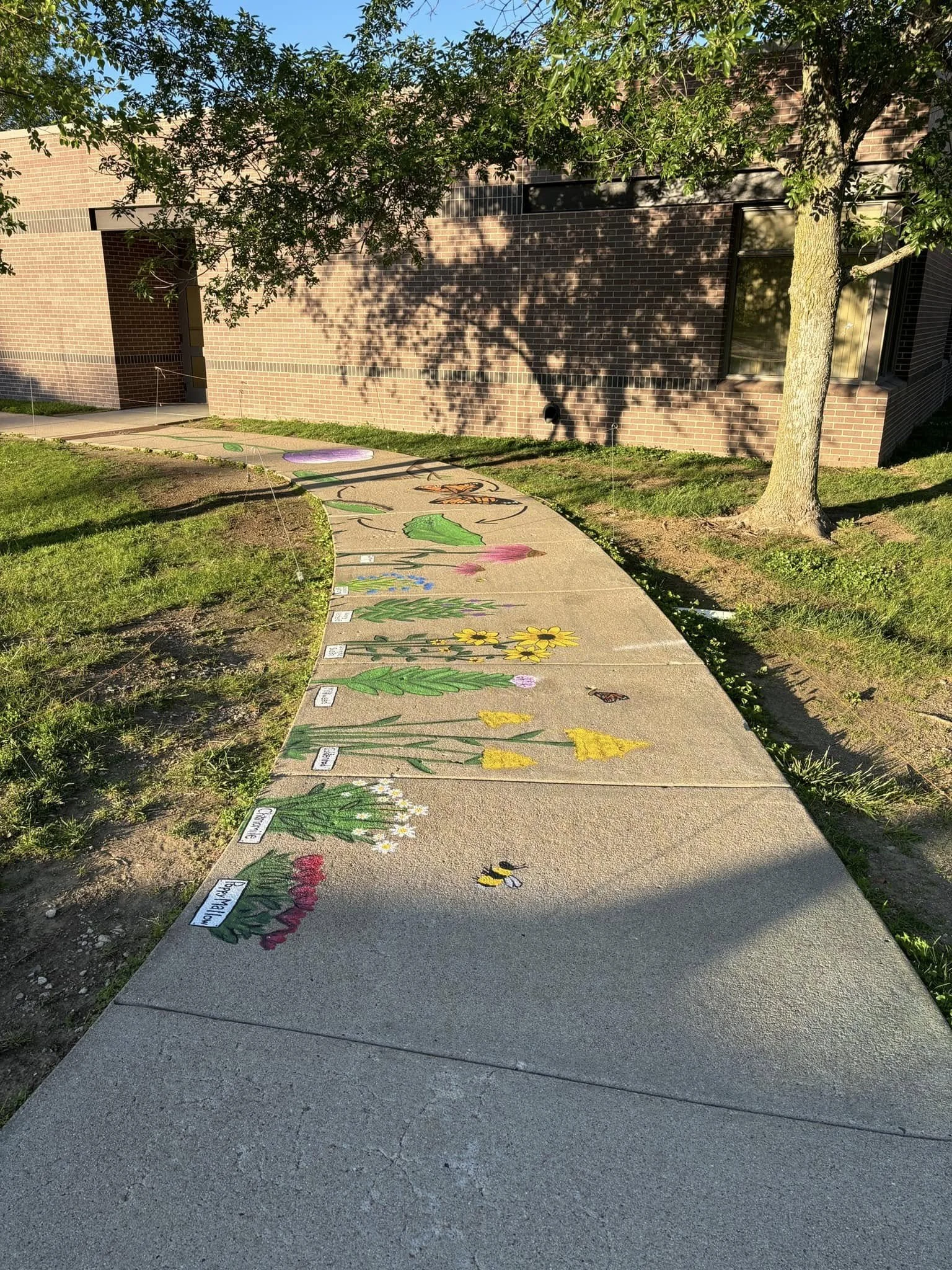 481665893_697936039465153_219165085634730982_n.jpg