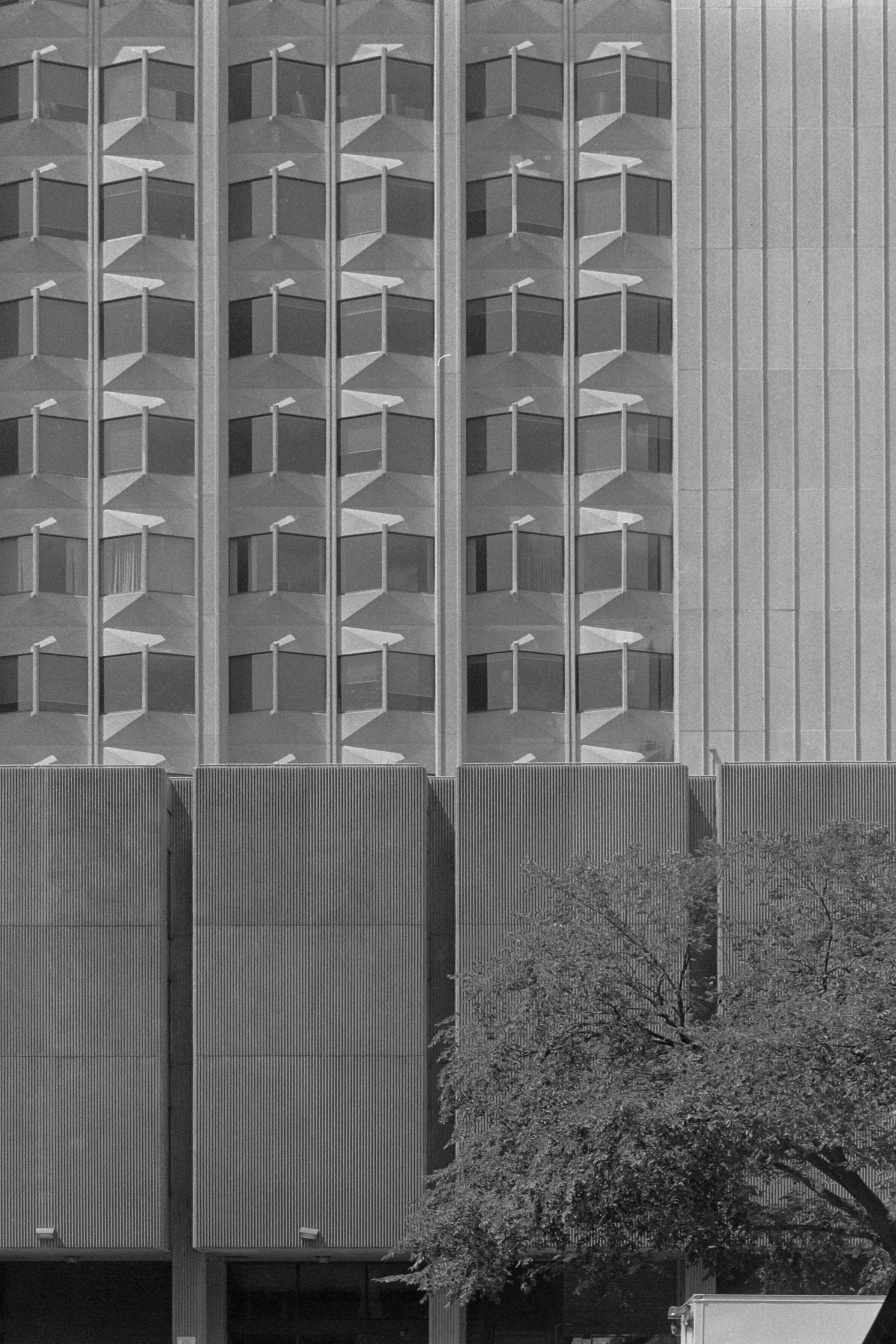 DSCF34992.jpg