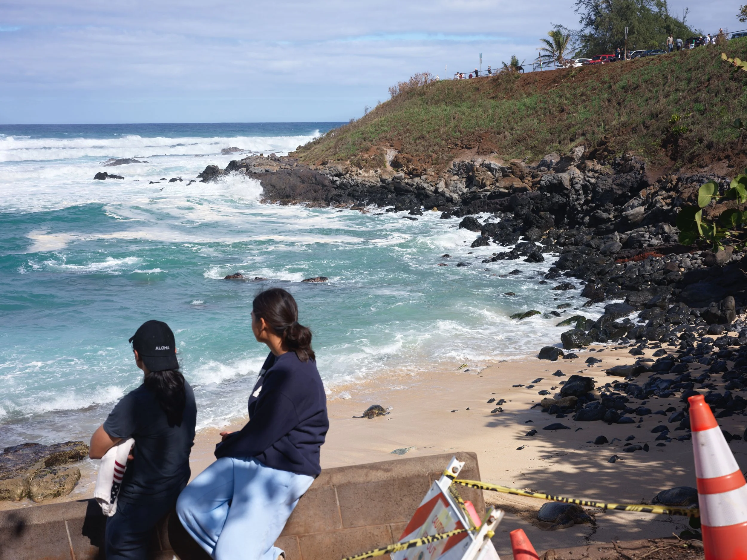 1-12-16-2026 Maui_0028.jpg