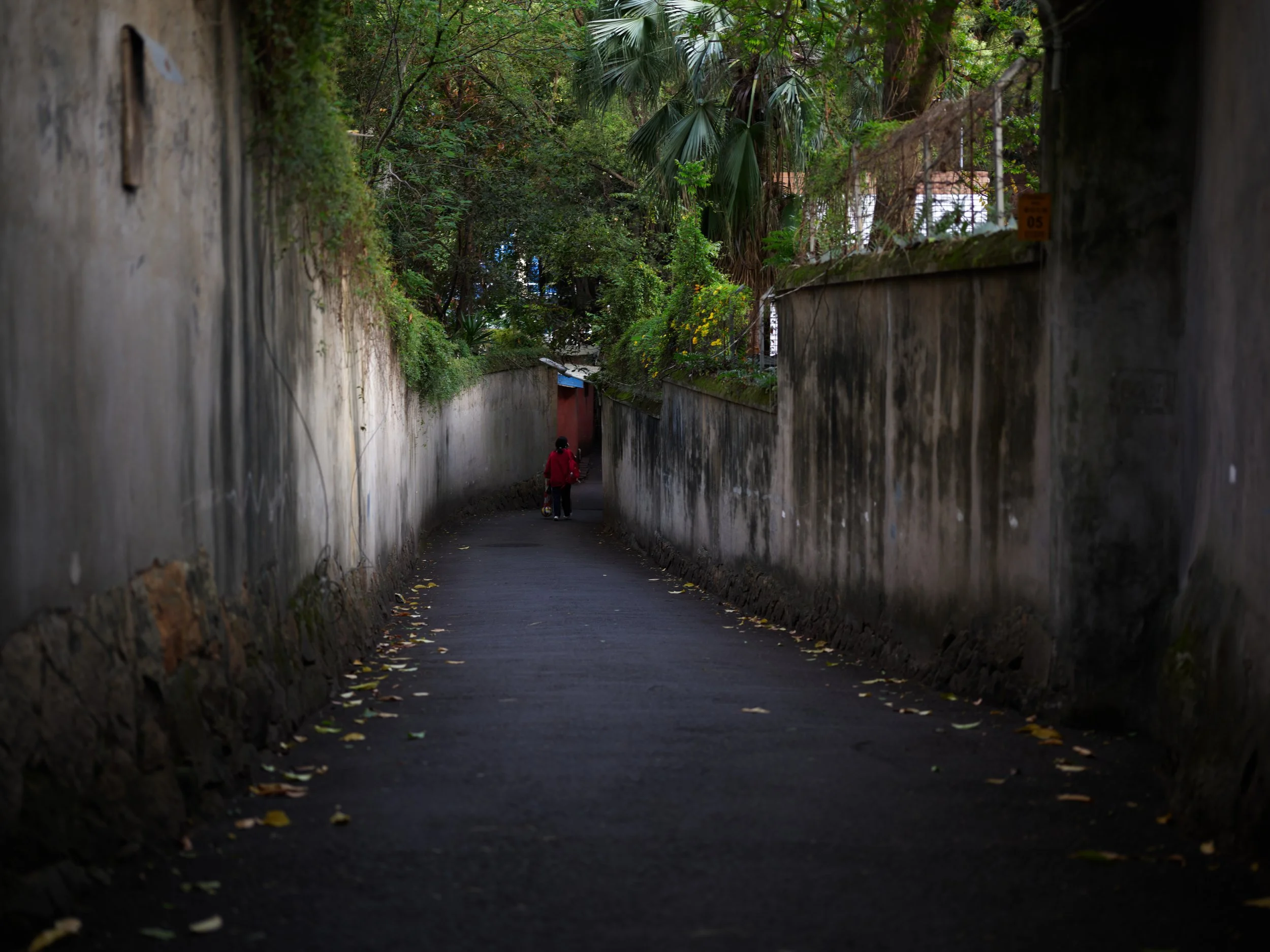 烟台山 with Sirui.jpg
