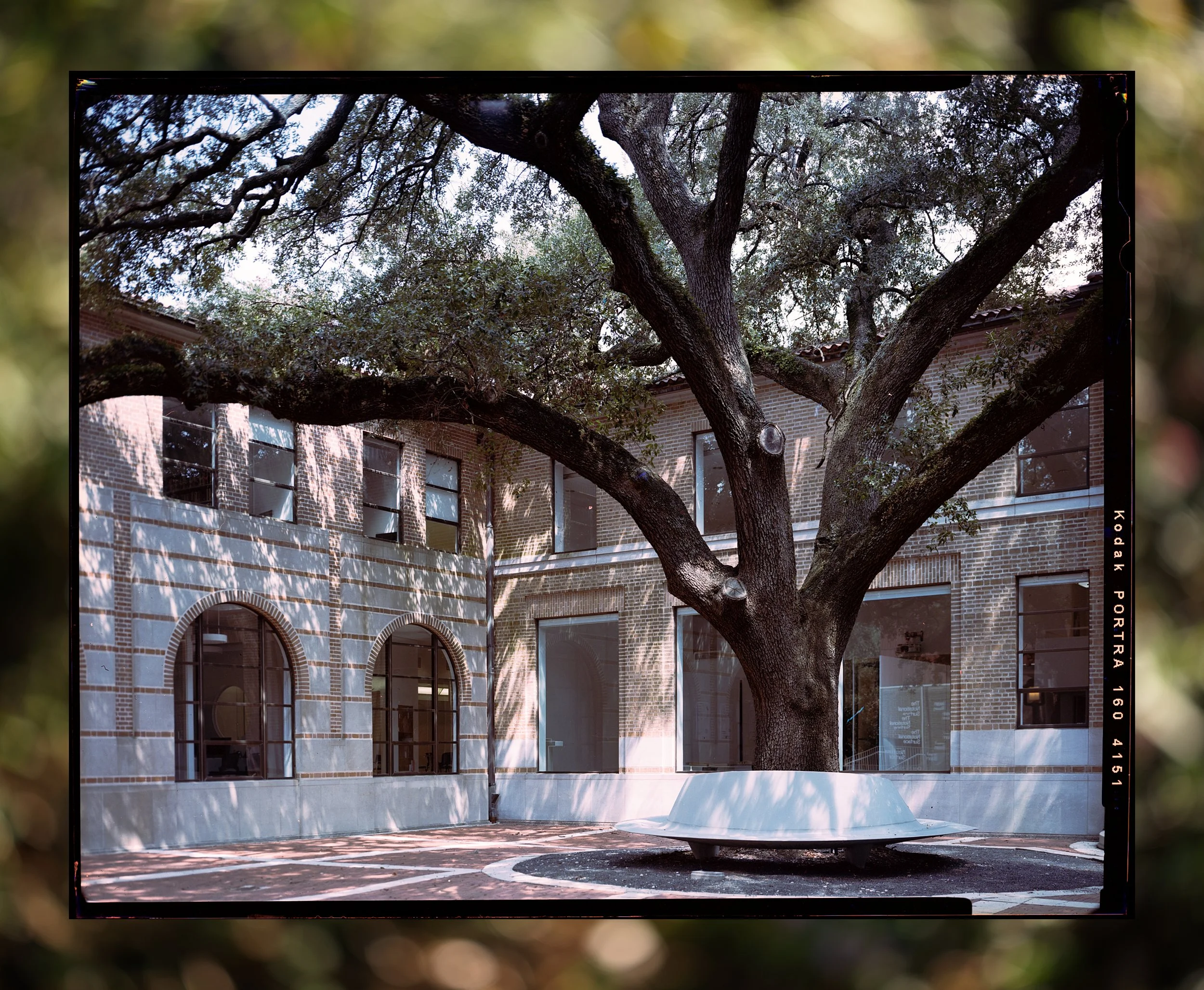 Architectural Building.jpg