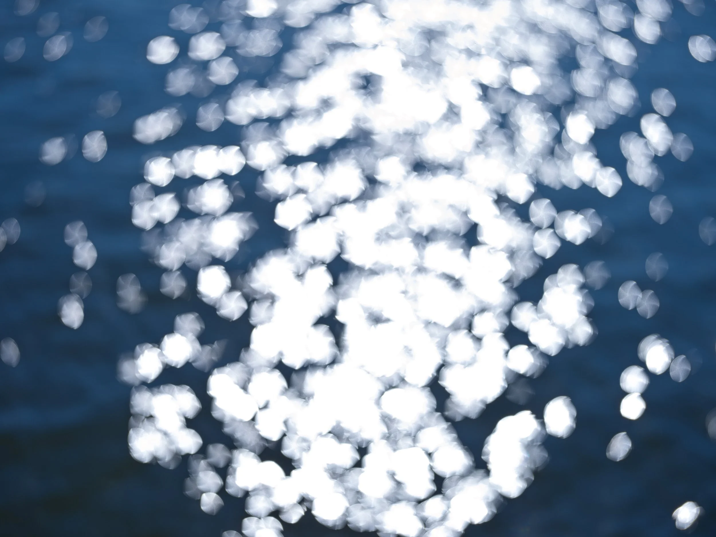 2-28-2025 Out-of Focus_0005.jpg