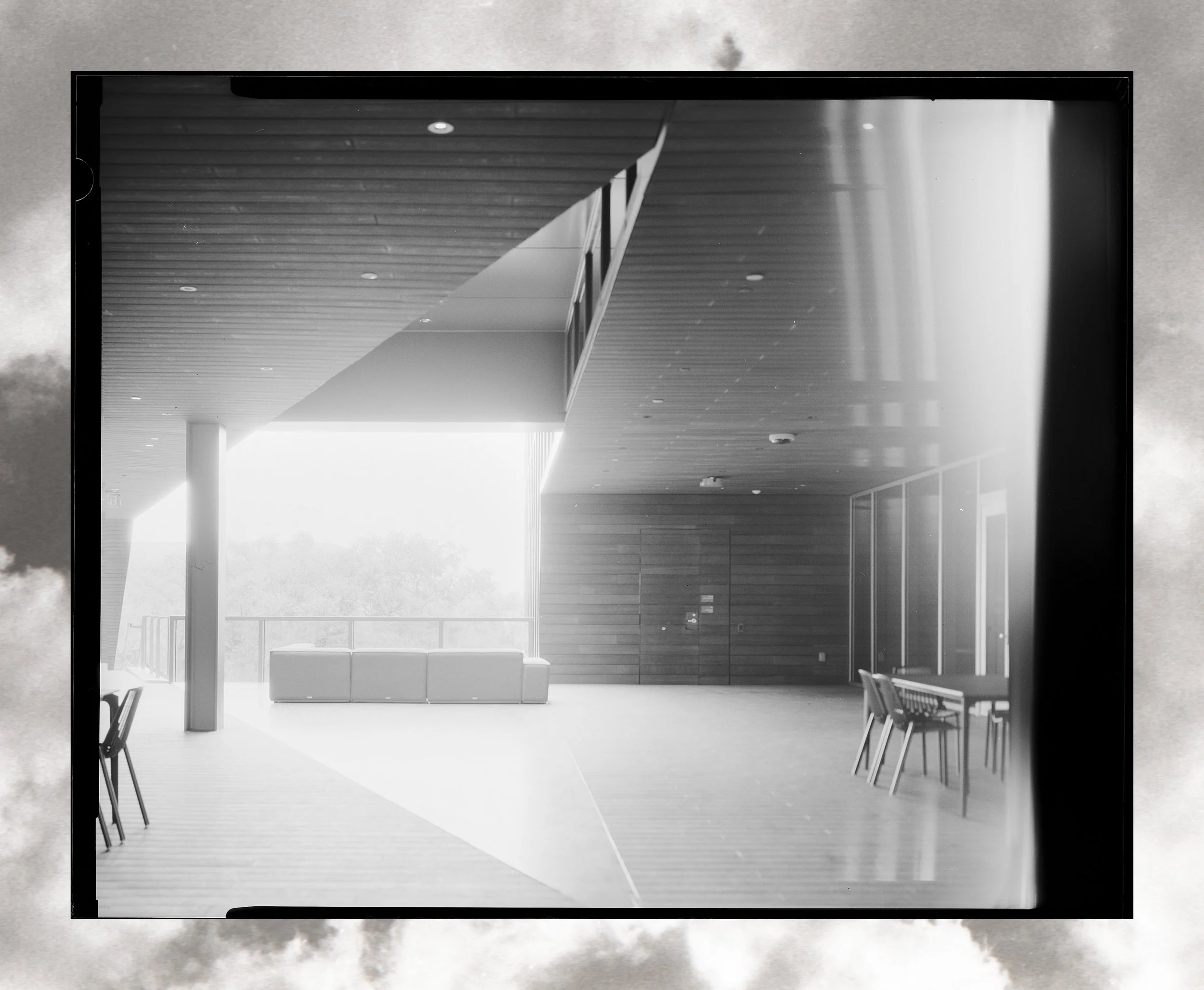 Sarofim View Platform.jpg