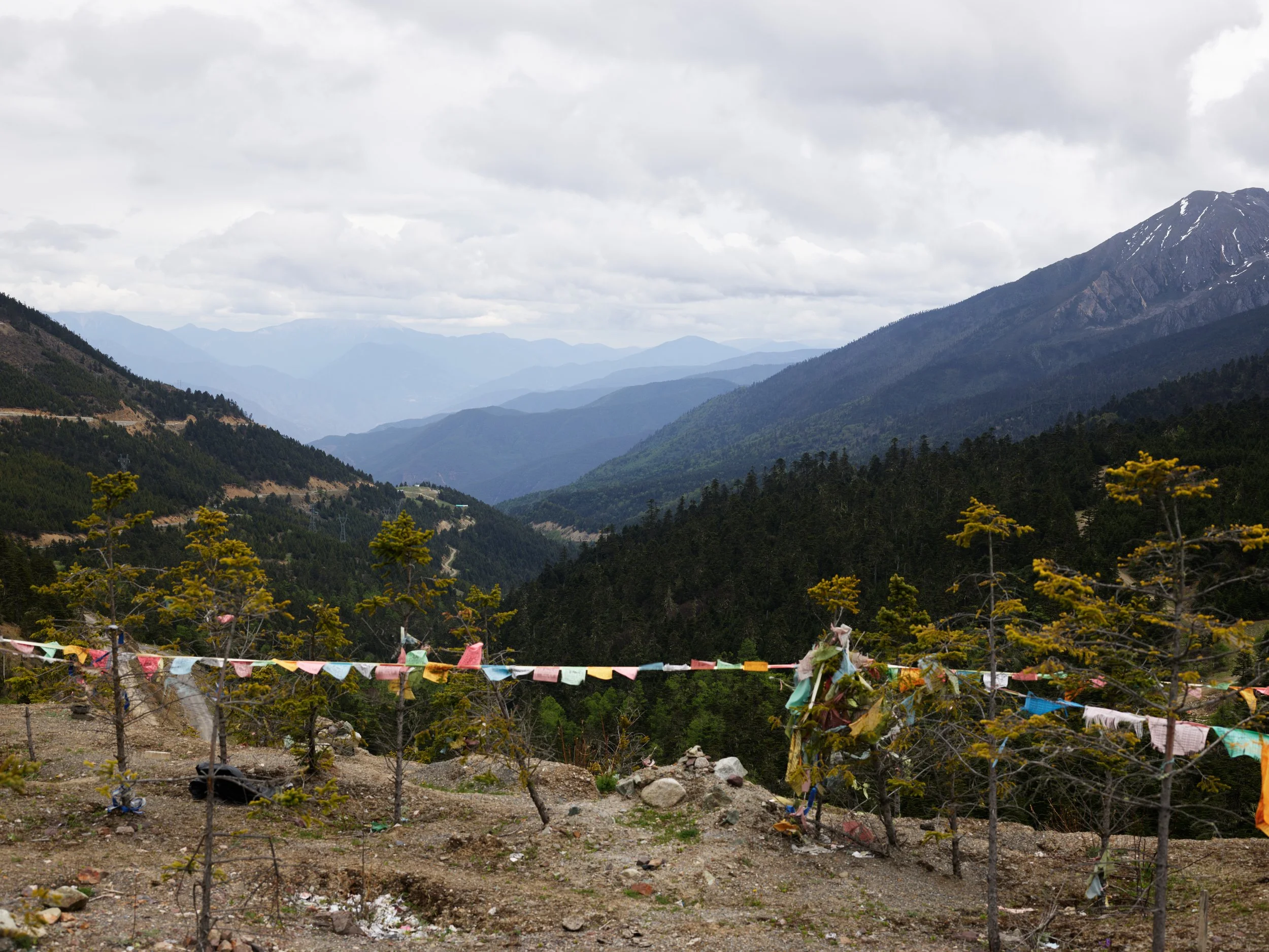 Yunnan May 23 2026 9.jpg