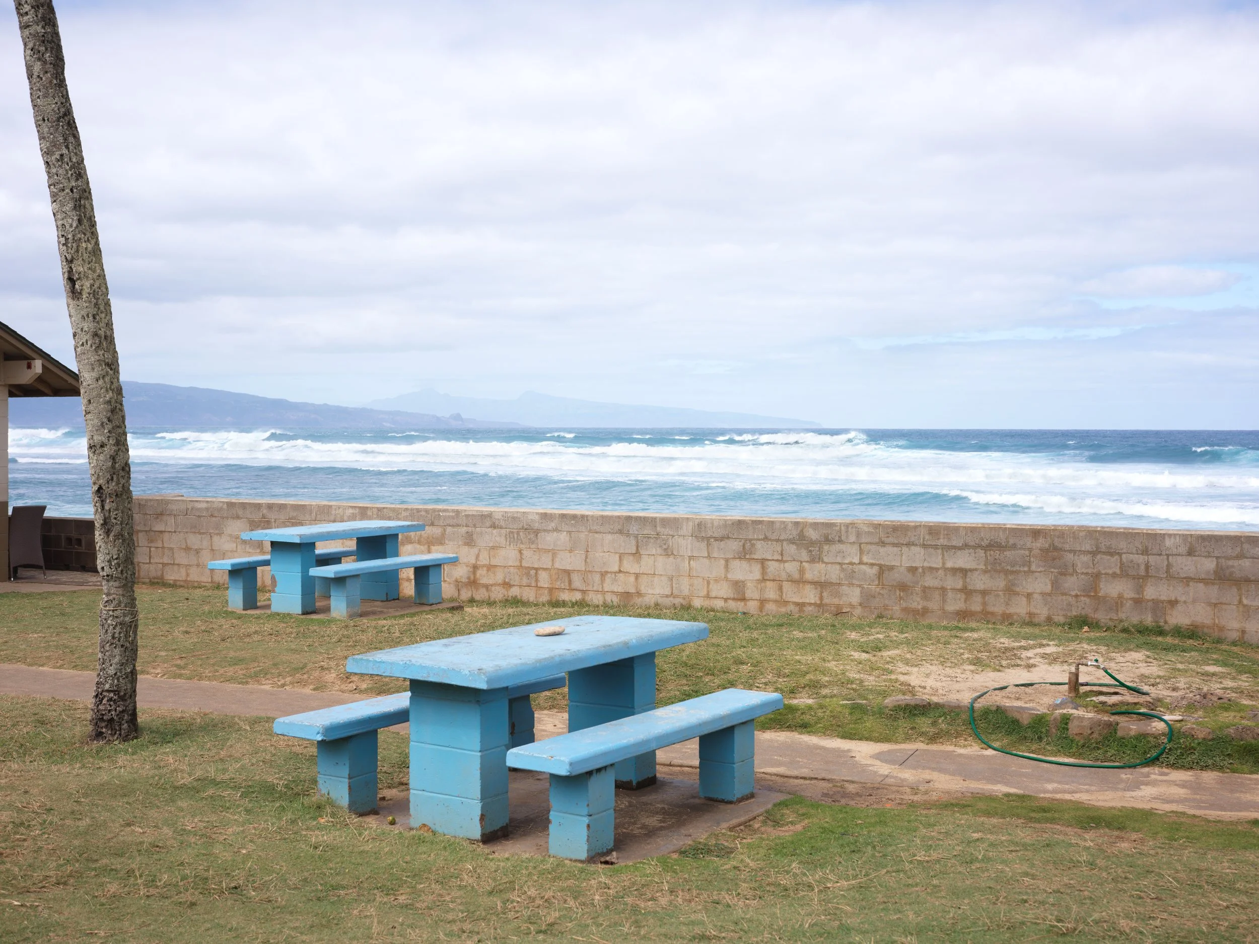 1-12-16-2026 Maui_0004.jpg