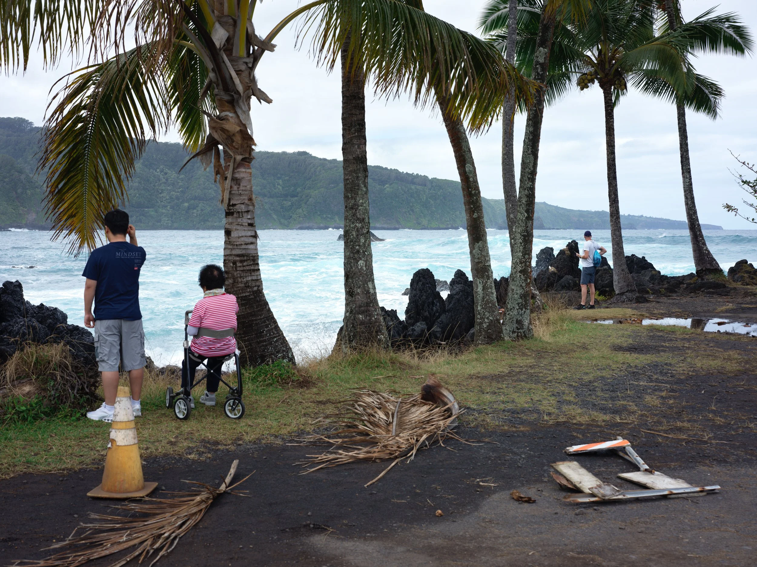 1-12-16-2026 Maui_0002.jpg