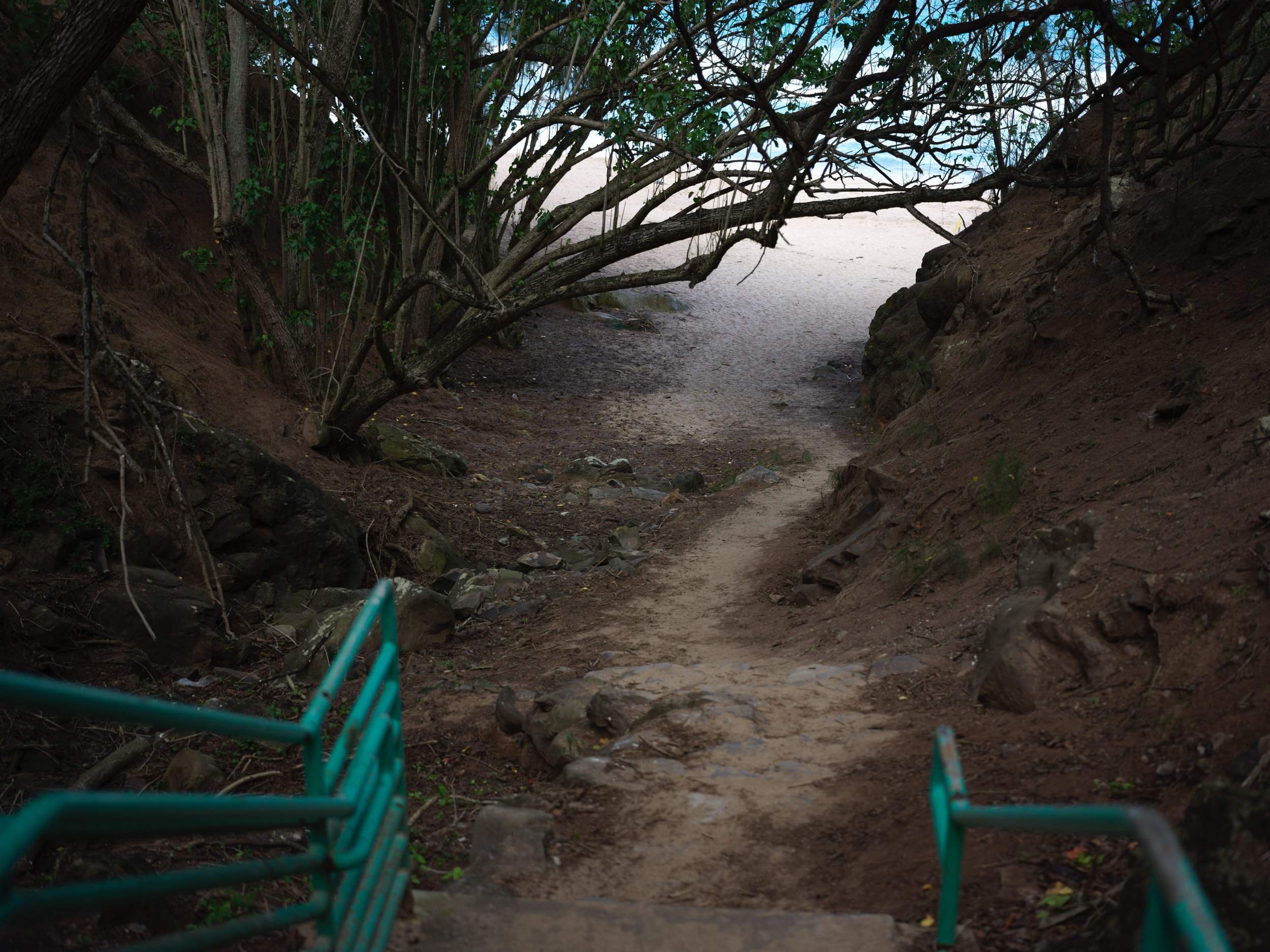 1-12-16-2026 Maui_0027.jpg