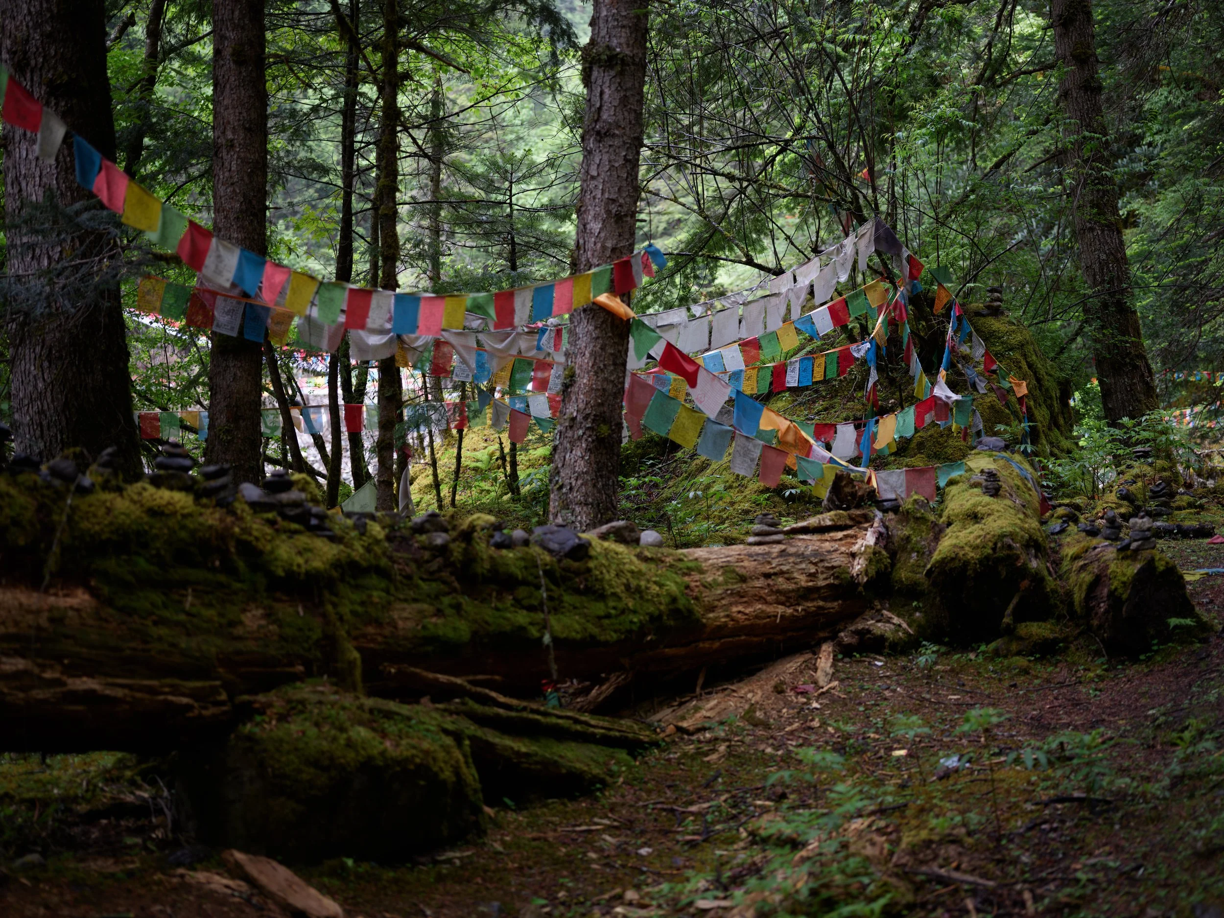 Yunnan May 24 2026 1.jpg