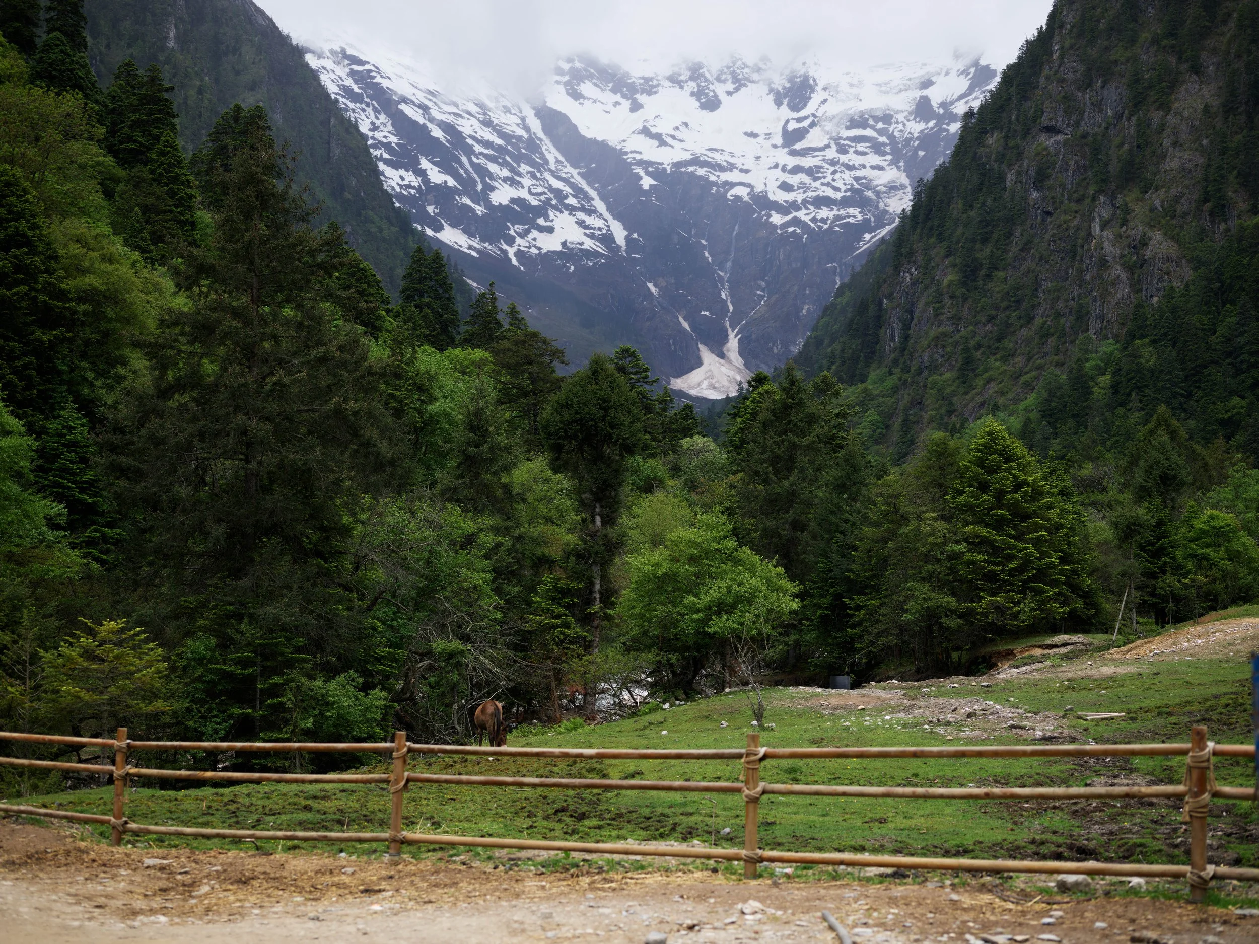Yunnan May 23 2026 3.jpg