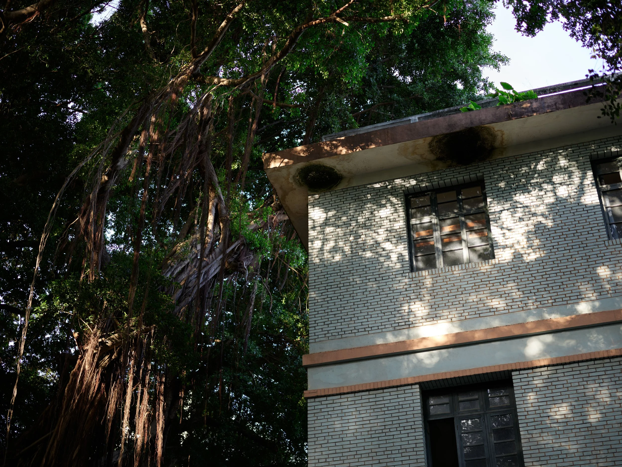 烟台山 with Sirui 2.jpg