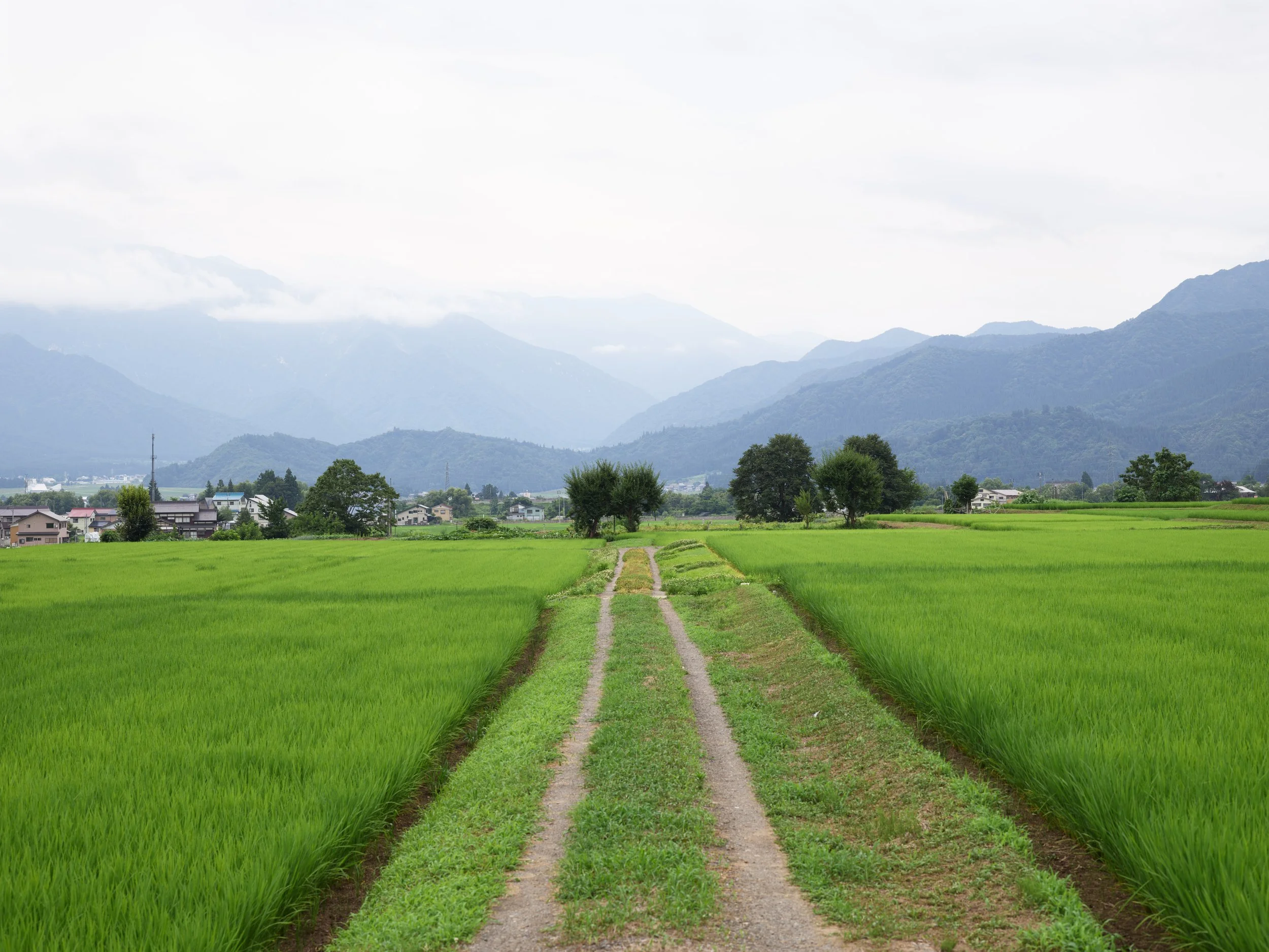 Japan Summer Day 8_26-07-15_ 4.jpg