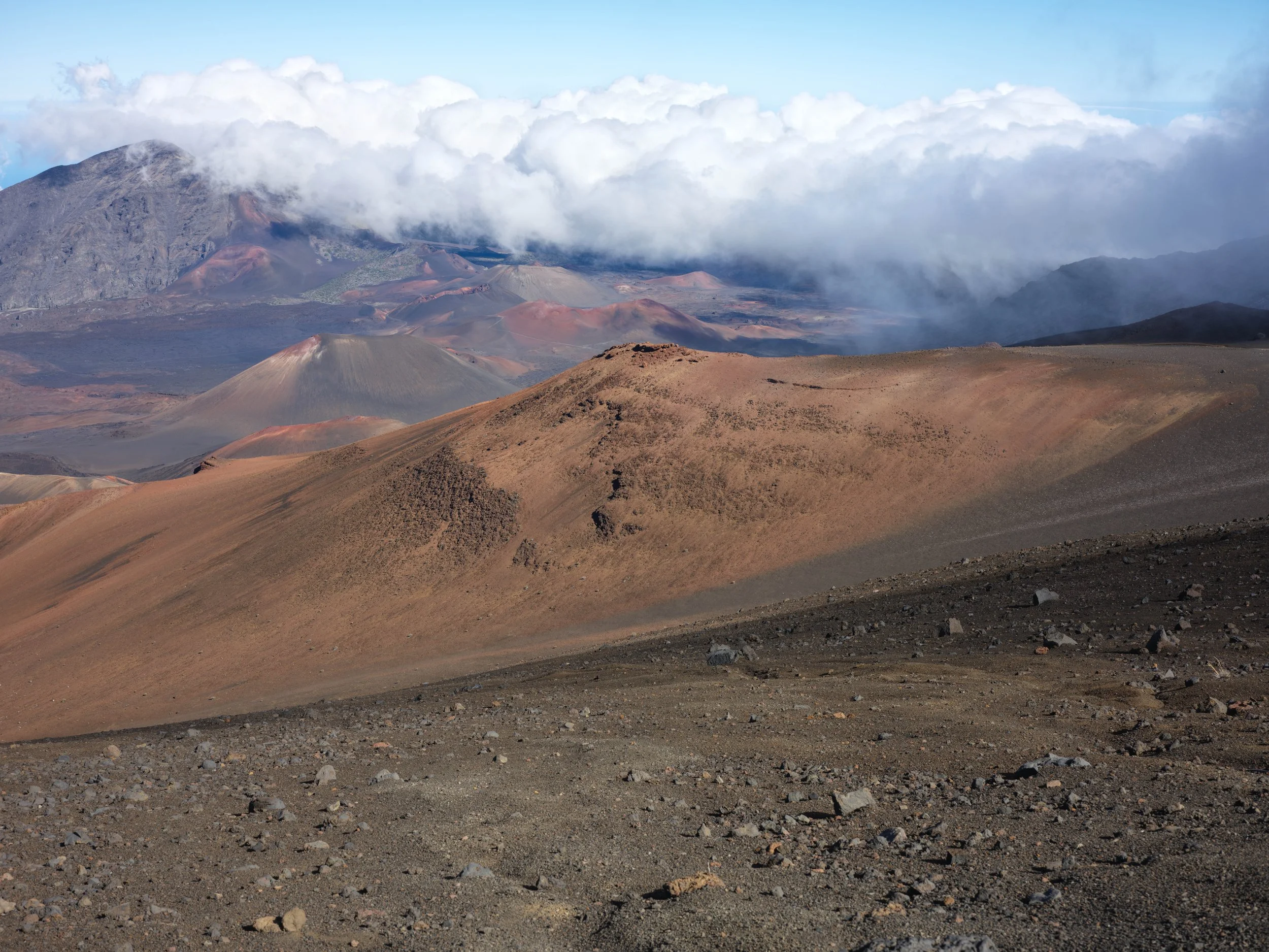 1-12-16-2026 Maui_0029.jpg