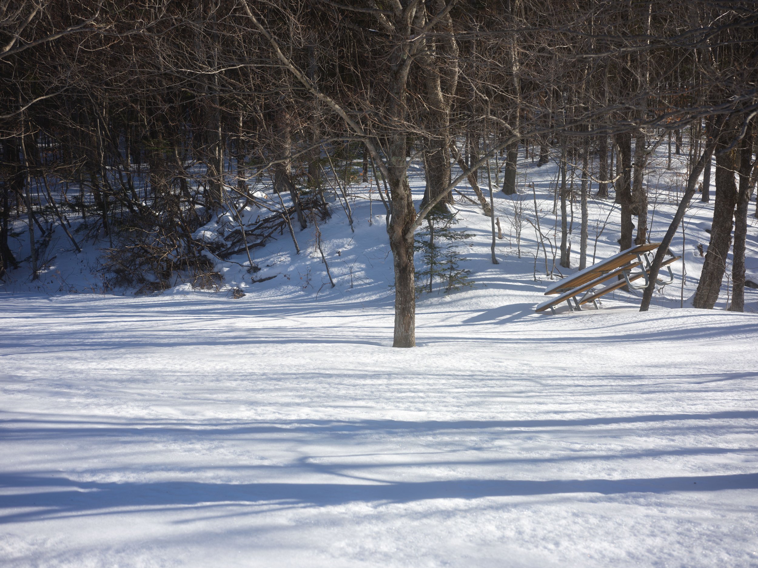 12-17-2025 Graduation Travel Trip_Vermont_0017.jpg