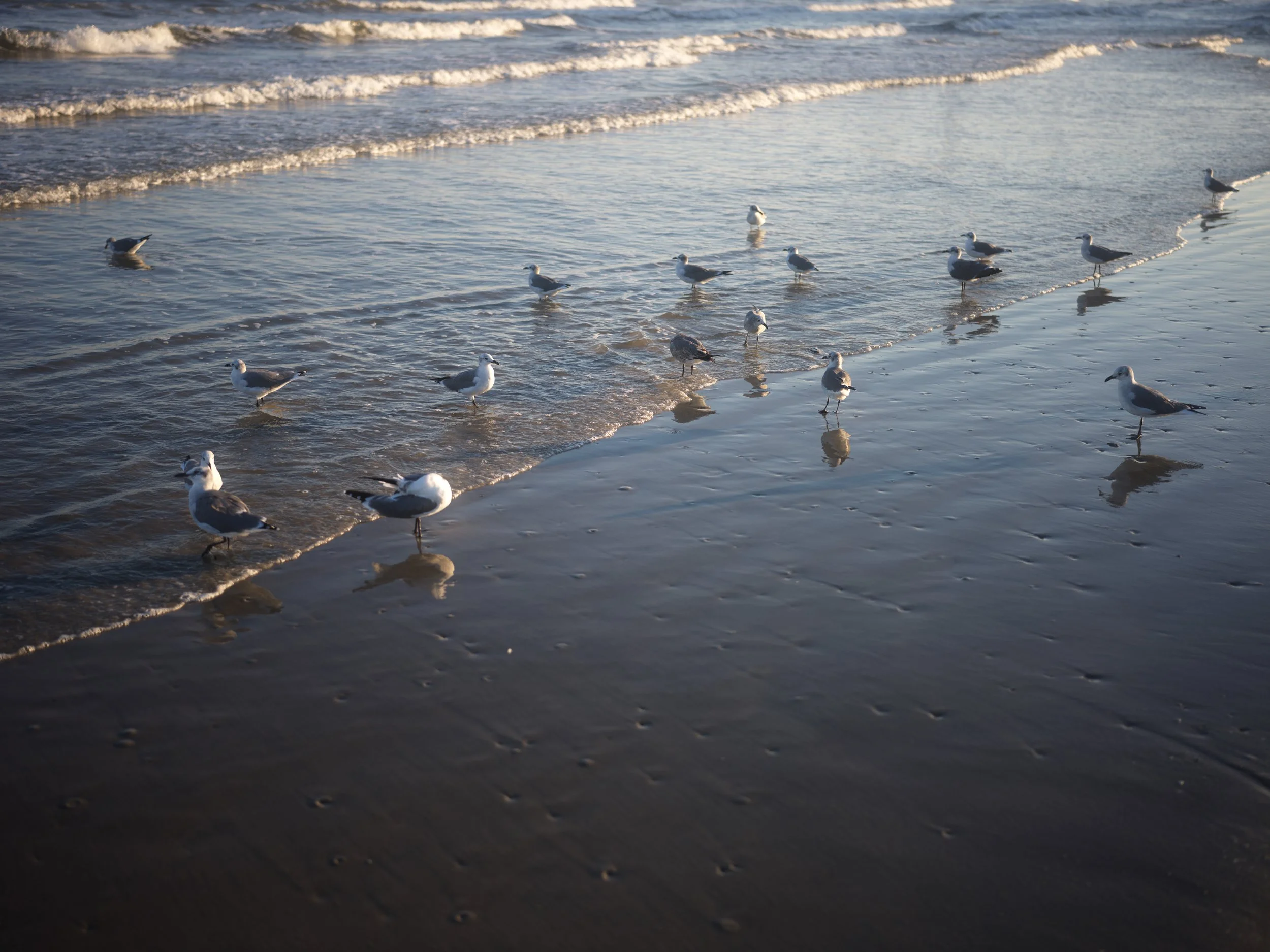 9-28-2025 Galveston Dusk_0015.jpg