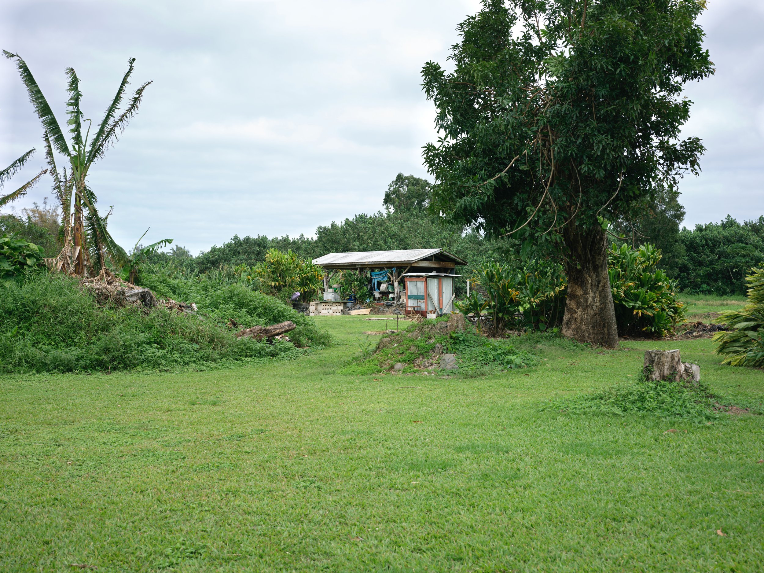 1-12-16-2026 Maui_0003.jpg