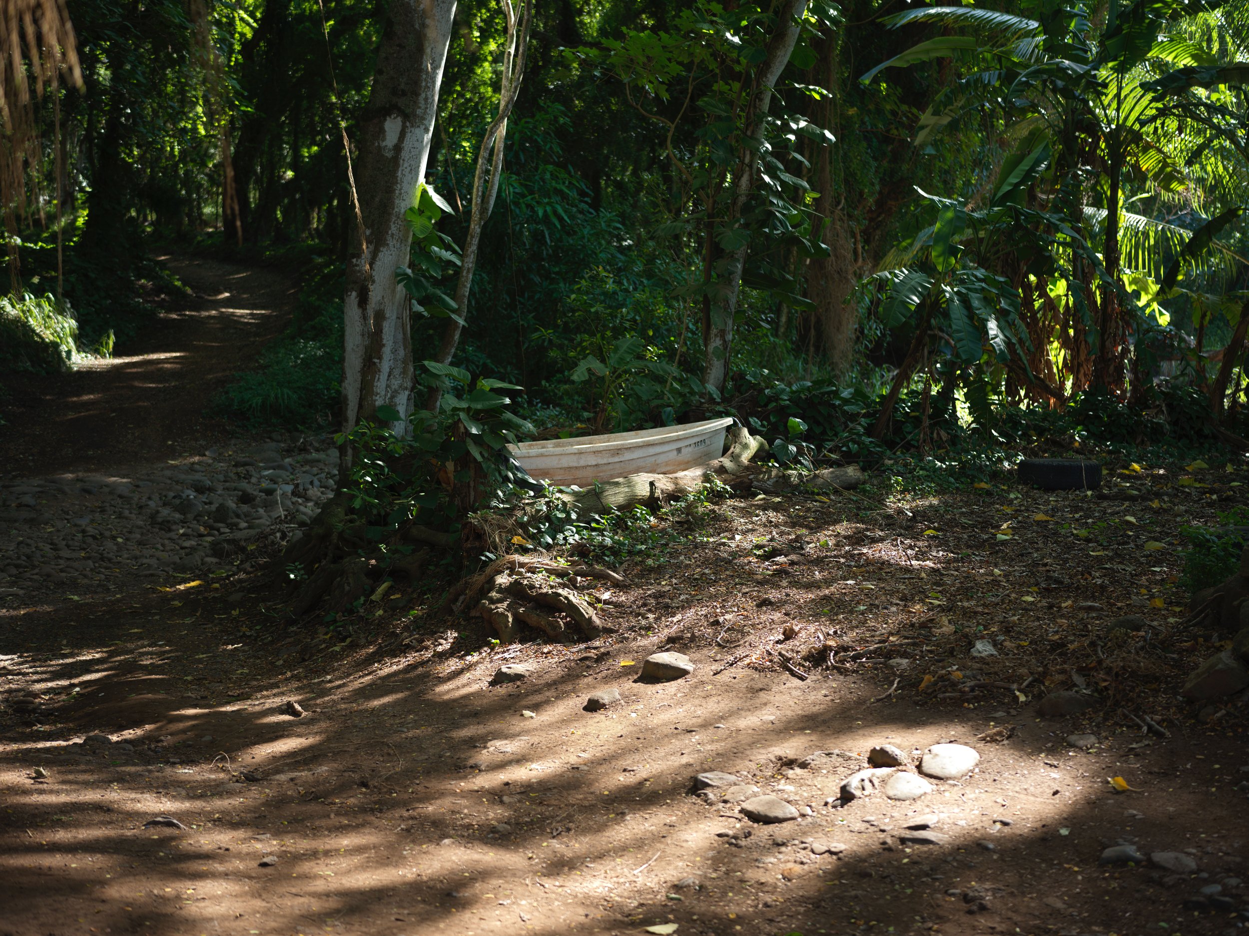 1-12-16-2026 Maui_0020.jpg