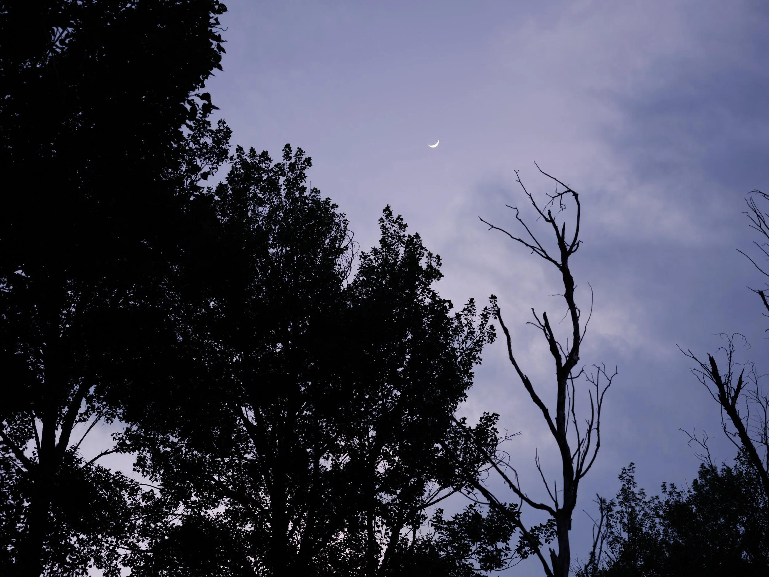Yunnan May 20 2026 5.jpg