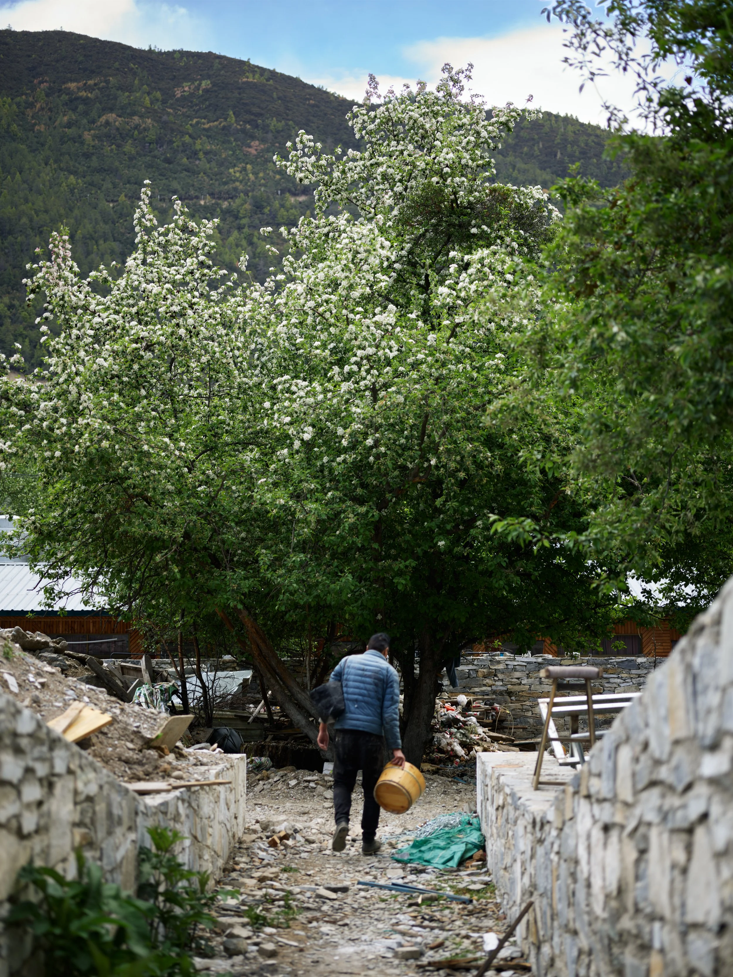 Yunnan May 23 2026 7.jpg