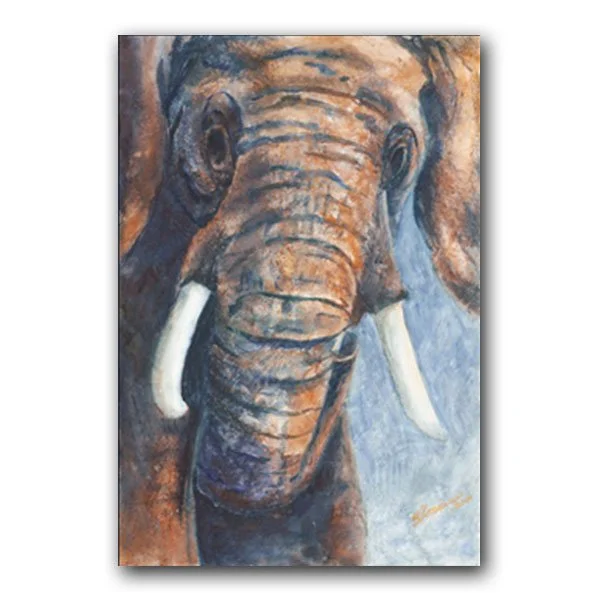Elephant.jpg
