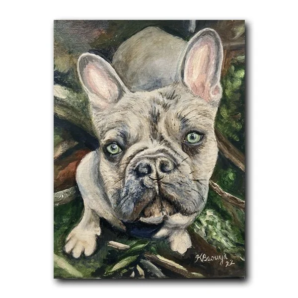 Archie-Frenchie.jpg
