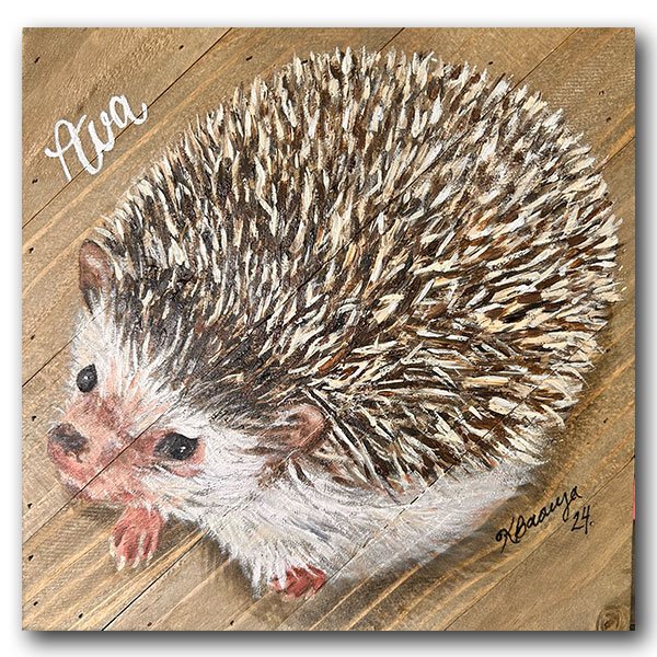 Ava-the-Hedgehog.jpg
