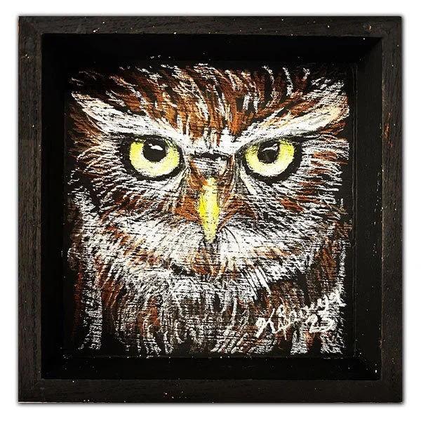 LittleOwl2.jpg