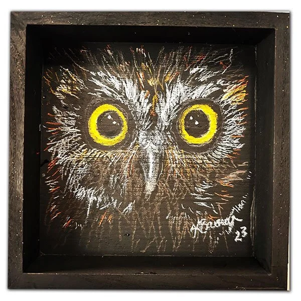 LittleOwl1.jpg