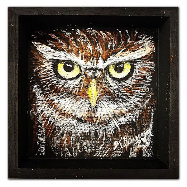 LittleOwl2.jpg