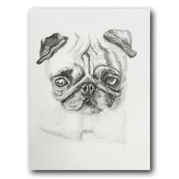 Pug-Sketch.jpg