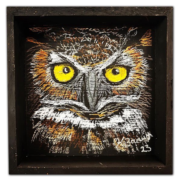 LittleOwl3.jpg
