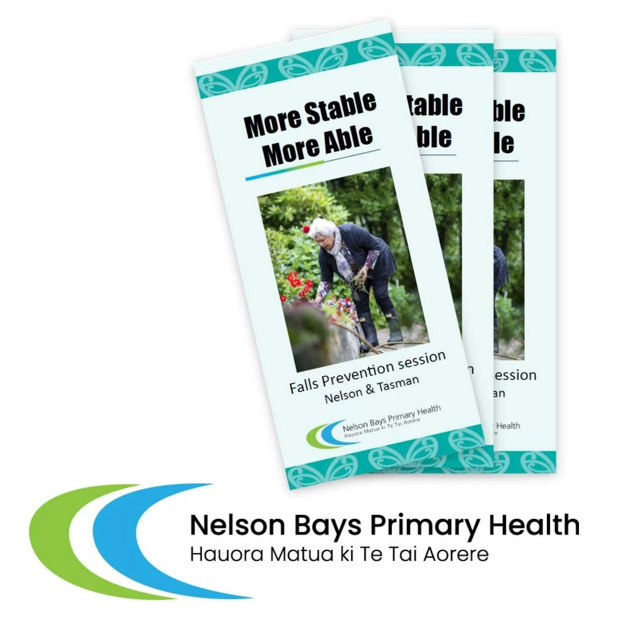 More Stable More Able - Falls Prevention Program