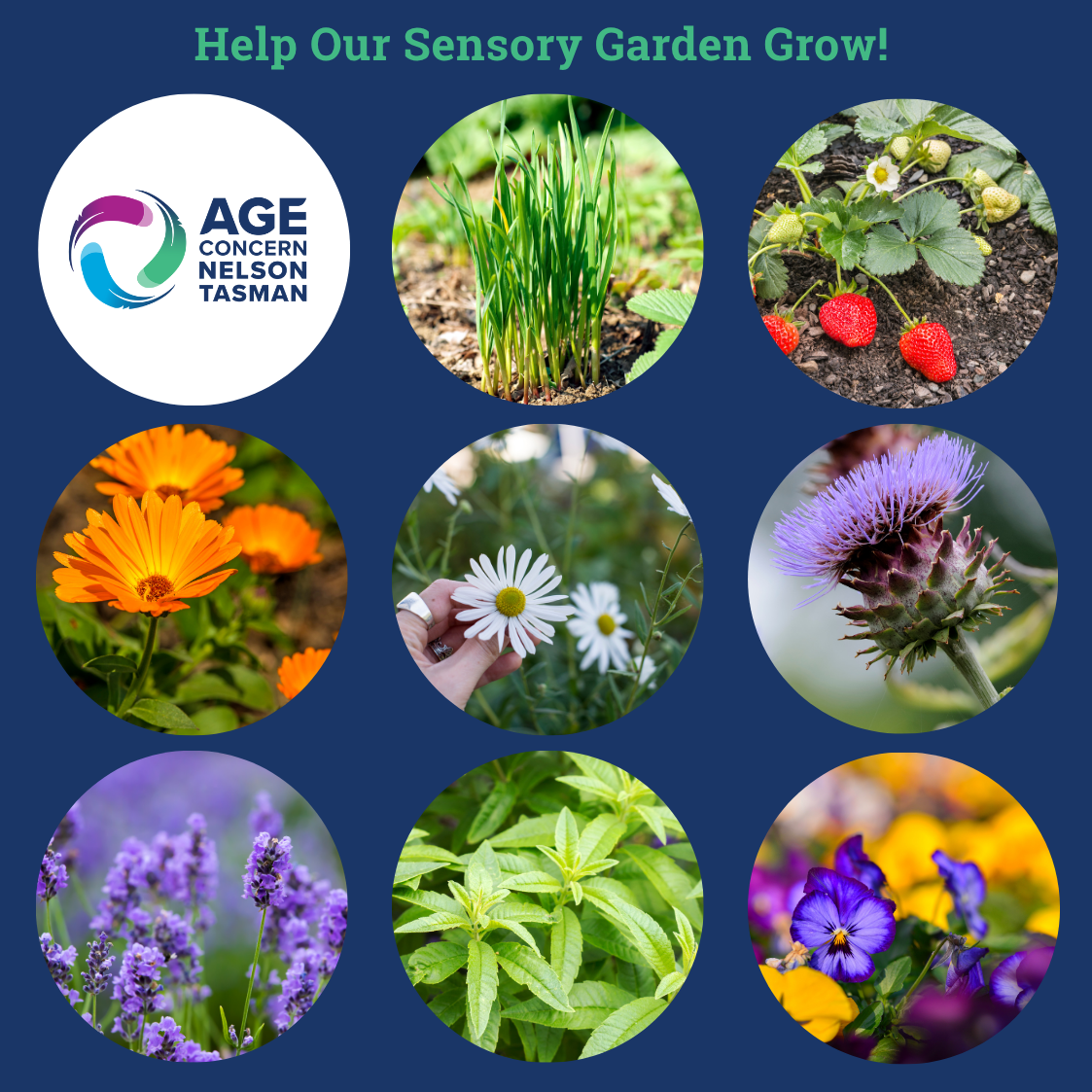 Help Our Sensory Garden Grow!
