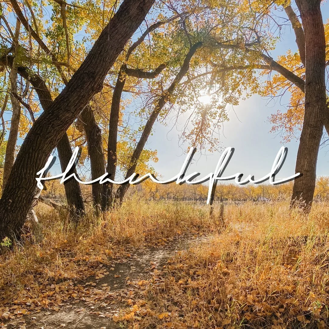 Happy Thanksgiving🌻
.
We are closed today but we will see tomorrow. 
.
#yxh #medicinehat #medhat